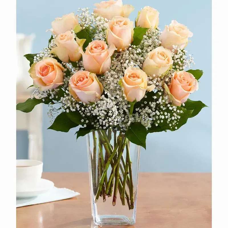 Just Peachy - A Dozen Beautiful Peach Roses!