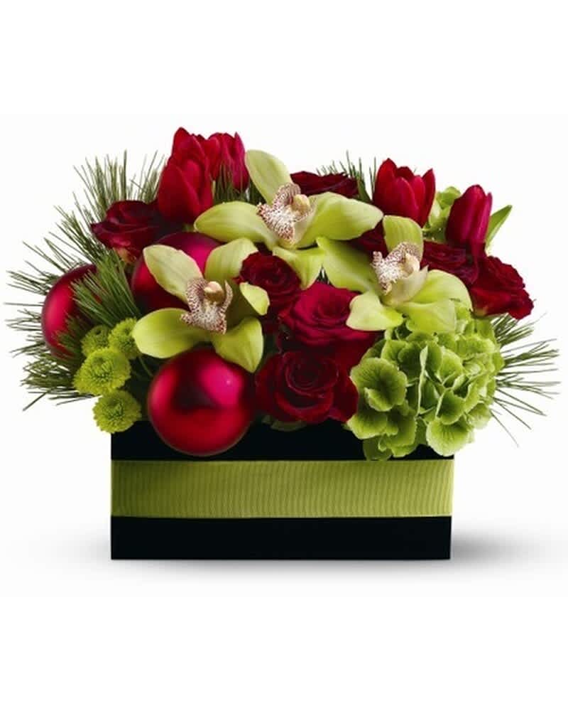 Low rectangular arrangement of red roses and tulips with green orchids, hydrangea, pine and red ornaments.