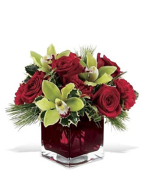 Teleflora's Rose Chic - This glorious Christmas floral arrangement of red blossoms, evergreens and holly includes an exotic element – cymbidium orchids in a stylish shade of chartreuse! It’s a glamorous bouquet that will add beauty to any home or workplace.