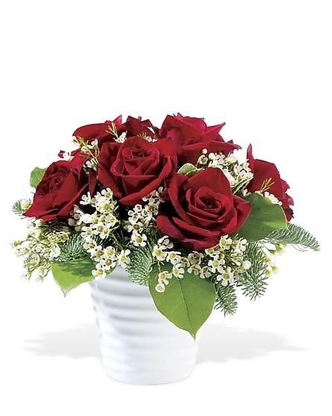 Ravishing Roses - Someone who’s dear to you will be feeling rosy when they receive this precious posy of velvety red roses on a bed of tiny white blossoms, presented in a pretty white vase. A treasure of a bouquet that’s a lovely gesture for the holidays, or just to say you care.