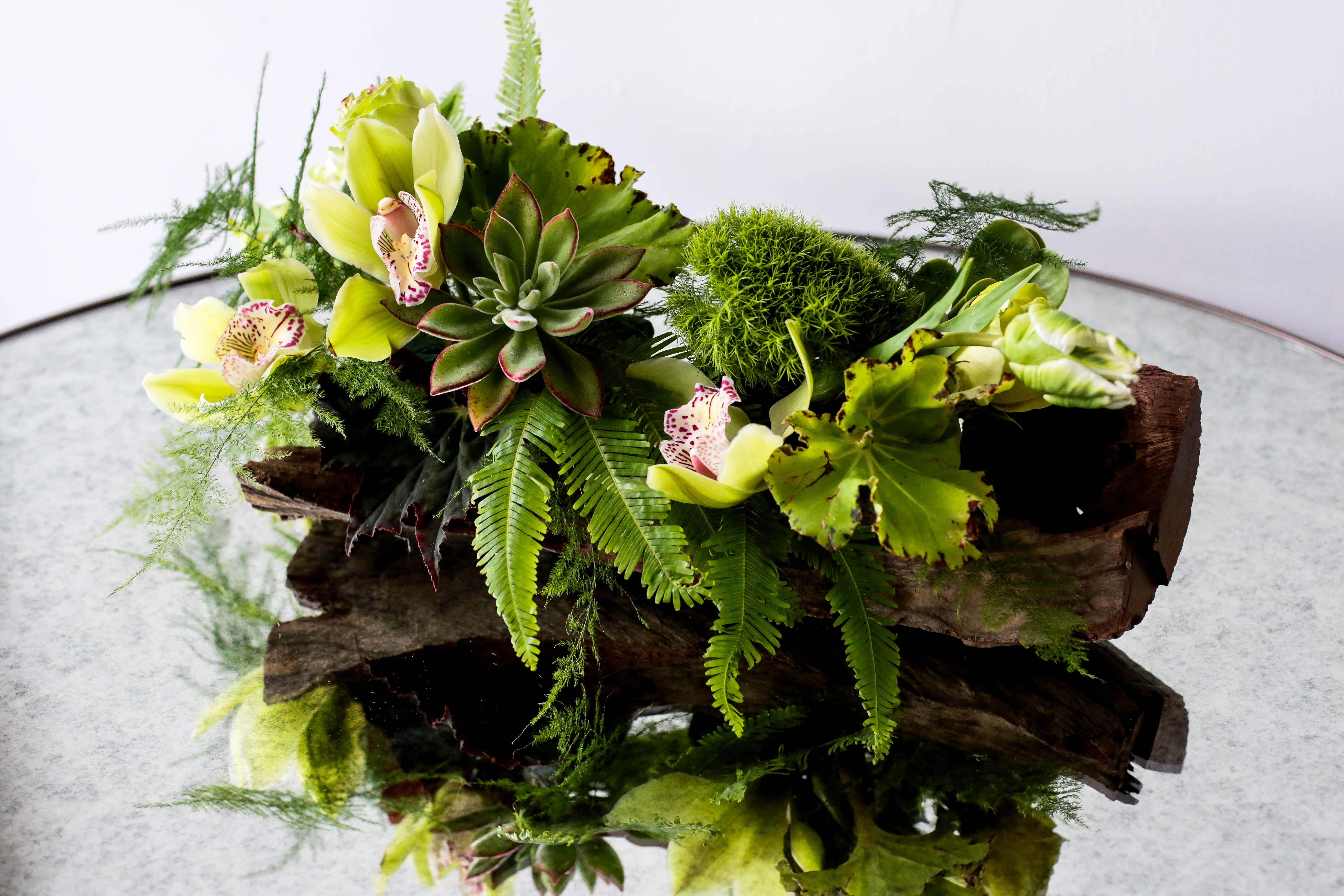 Succulent and orchid arrangement on a piece of driftwood