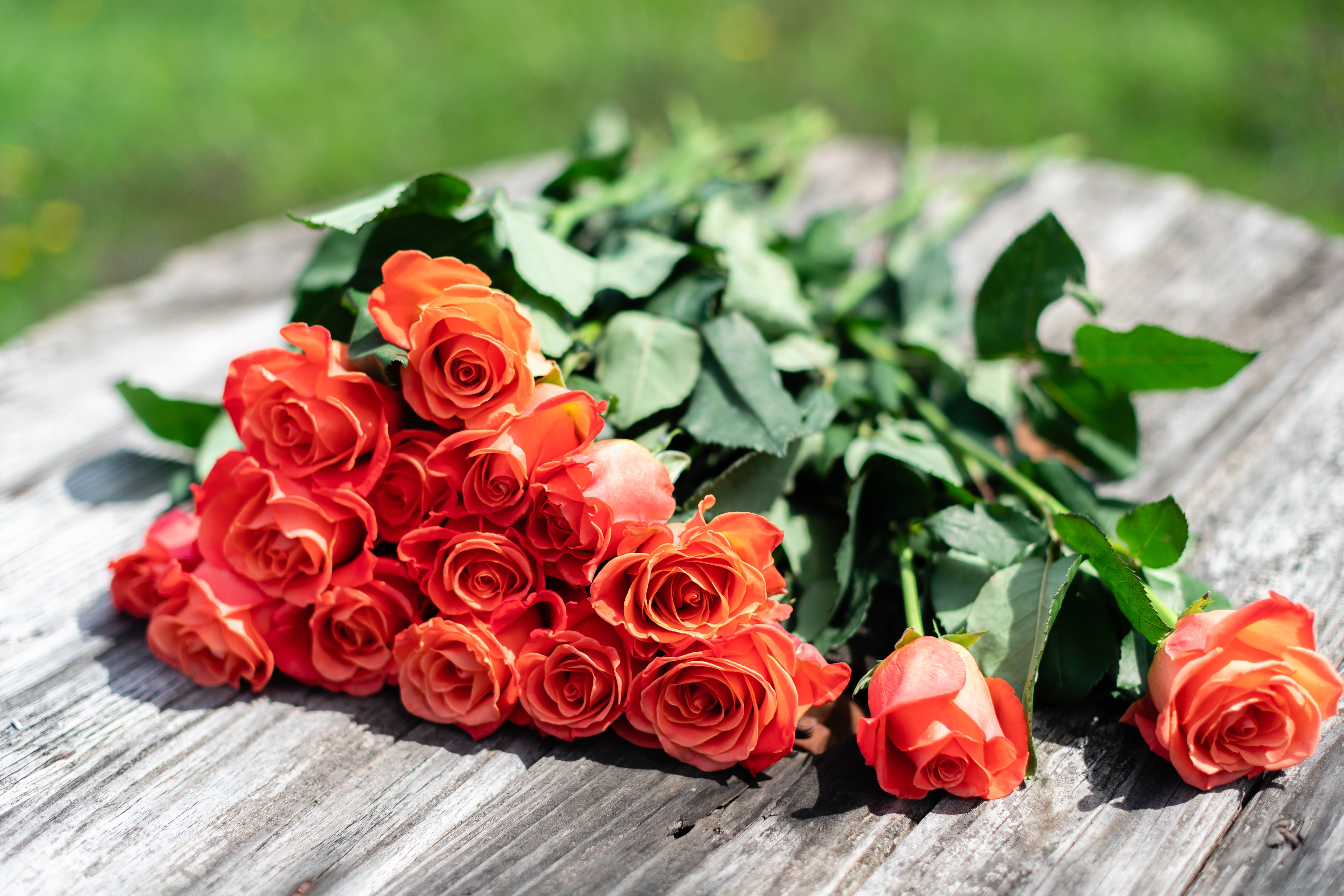 Bundle of coral-orange roses lying on a wooden surface