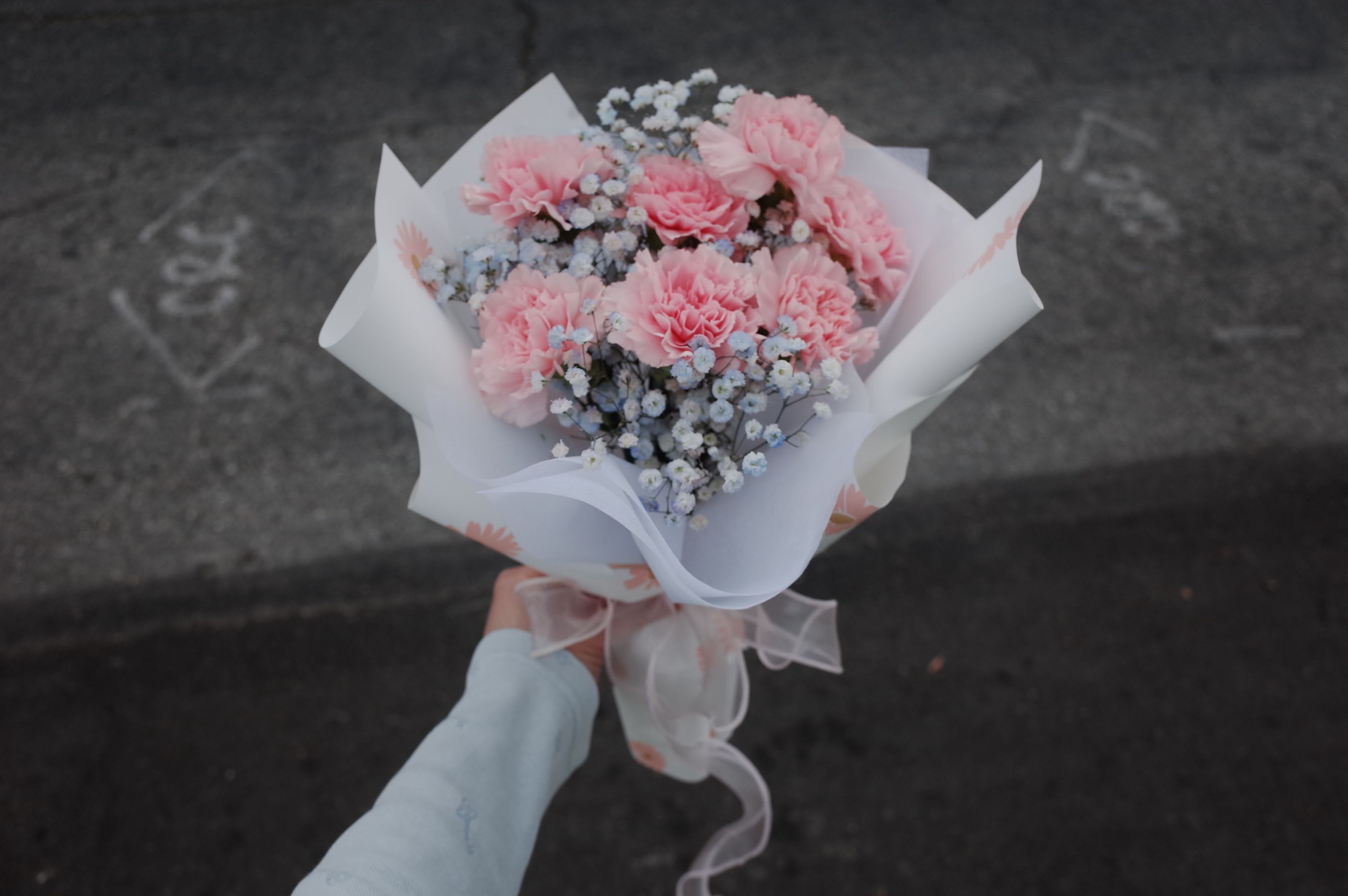 Fresh pink carnations with baby's breath - A sweet bundle of pink carnations and fluffy baby’s breath in soft white and blue tones — like holding a little cloud of happiness. Light, pretty, and perfect for gifting.