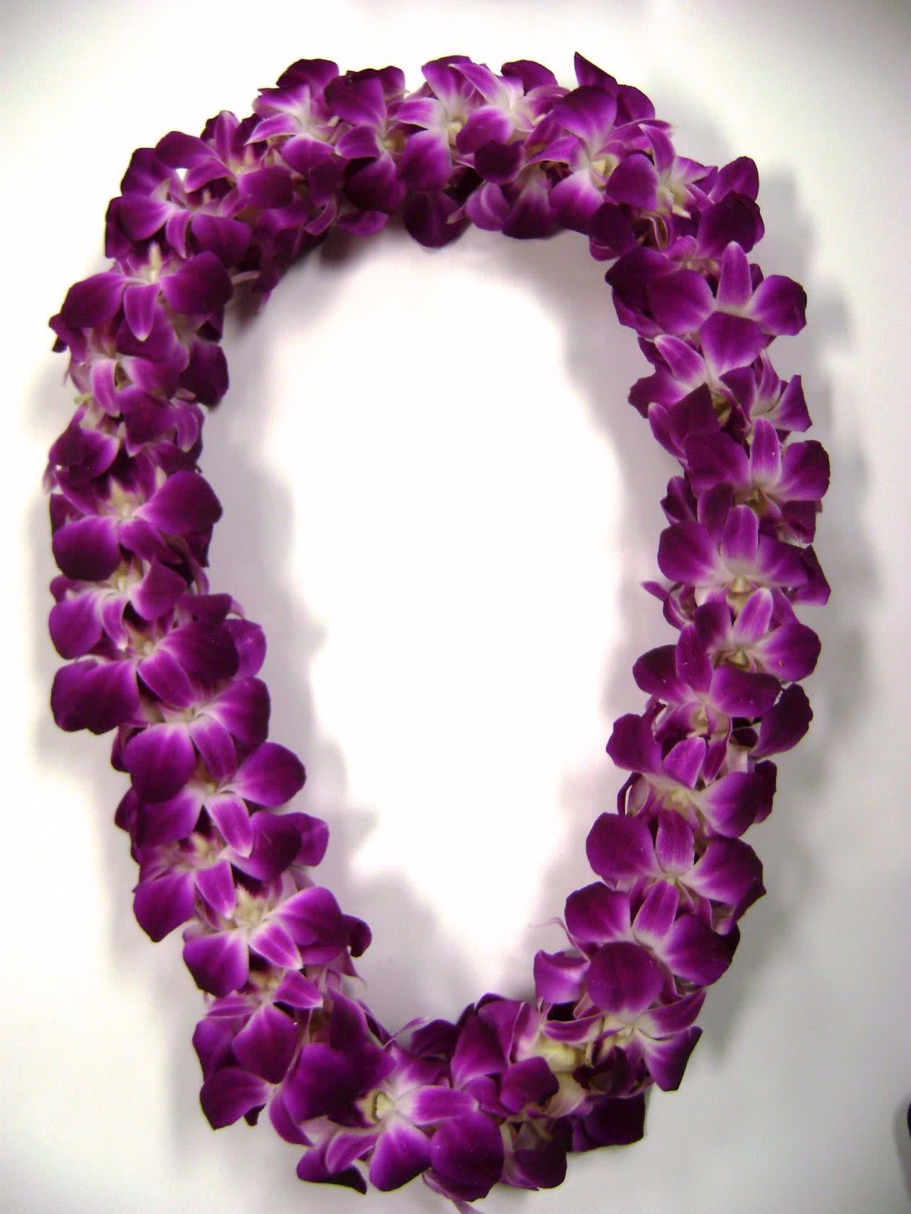 Premium Graduation Bombay Orchid Lei (Available Locally) - Beautiful Hand made Hawaiian style Lei. Great for Weddings, Graduations and Celebrations. Usually available in Purple or white. (Please call for color options and allow 24-48 hours for delivery)