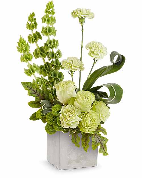 Teleflora's Garden Symphony Bouquet - A modern ode to nature, Teleflora's Garden Symphony Bouquet showcases lush green blooms in a chic, concrete-inspired cube - a striking design that blends harmony, texture, and contemporary elegance. Teleflora's Garden Symphony Bouquet features green roses, bells of Ireland, green carnations, green button spray chrysanthemums, variegated aspidistra leaves, scented geranium leaves, and variegated pittosporum. Presented in the Modern Paradise Cube, a sleek concrete-inspired planter that complements any décor.