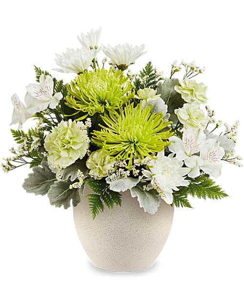 Peaceful Petals Bouquet  - Bursting with fresh white and green blooms, a Peaceful Petals Bouquet is a modern Father's Day surprise Dad will enjoy well beyond his special day. Arranged in a Modern Stone Bowl with a faux concrete speckled finish. Peaceful Petals Bouquet is a fresh Father's Day floral arrangement featuring white alstroemeria, green carnations and miniature carnations, white cushion spray chrysanthemums, green fuji chrysanthemums, and white limonium, accented with dusty miller and leatherleaf fern.   Approximately 13 1/2" W x 13 1/2" H