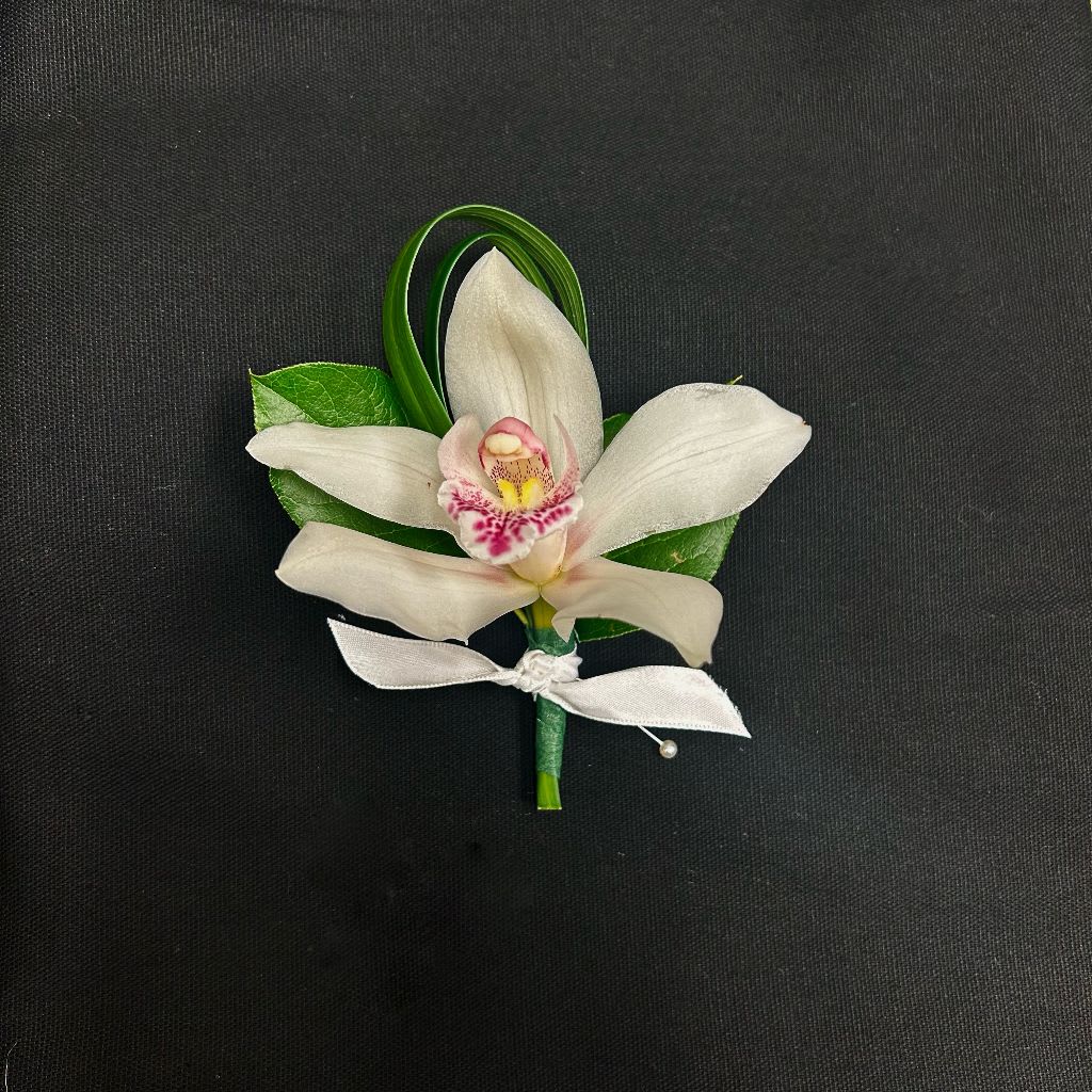 White orchid boutonniere with a satin ribbon on a dark background