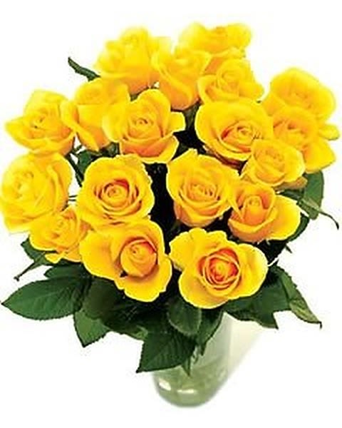18 Yellow Roses - Eighteen yellow plush roses arranged in a classic glass vase. 