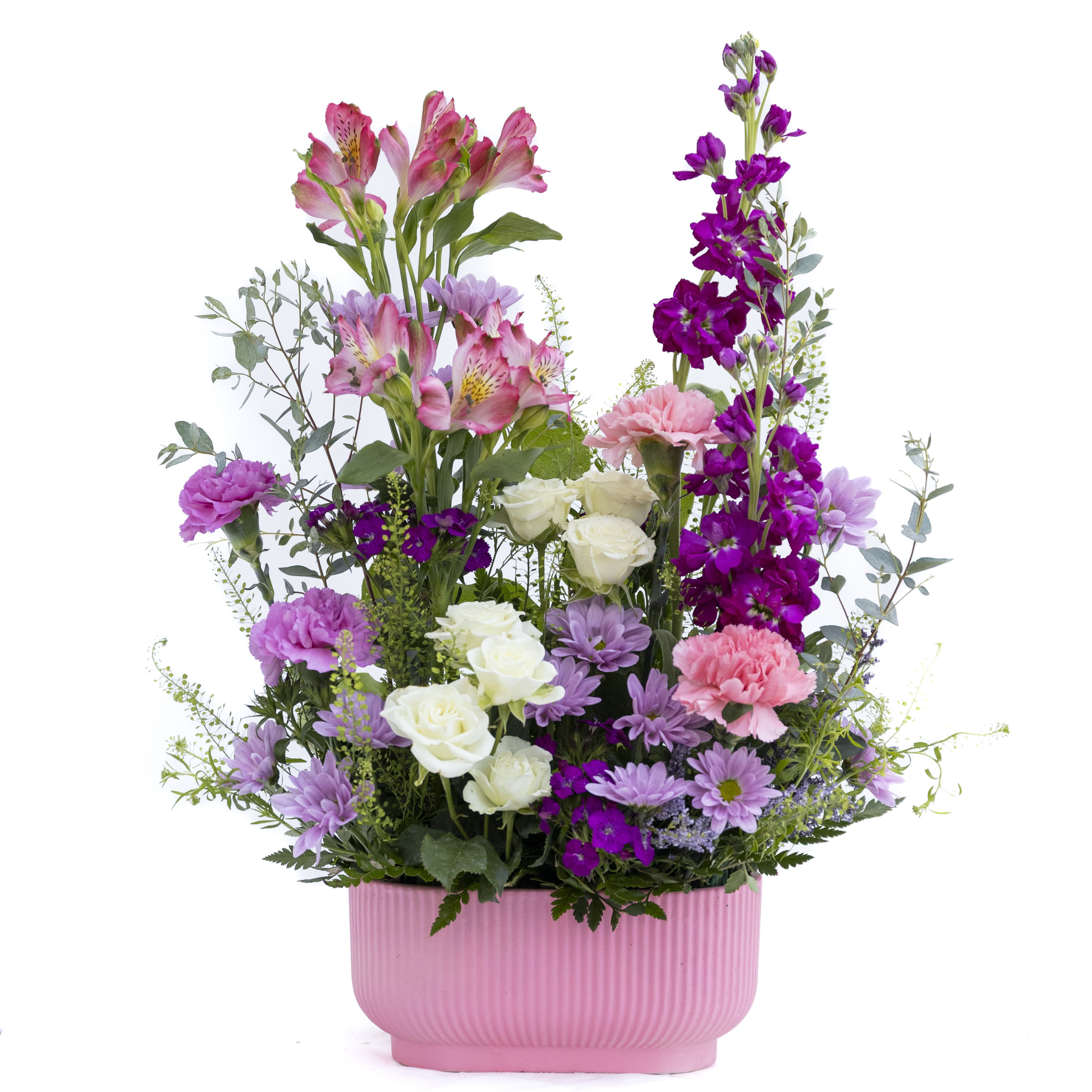 The Mia - The Mia is a stunning garden-style arrangement that blends elegance with a playful burst of color. Featuring a graceful mix of soft white roses, blush and lavender blooms, vibrant magenta accents, and delicate pink alstroemeria, this design creates a beautiful sense of movement and texture. Tall, airy stems rise above a lush base of seasonal flowers and fresh greenery, giving the arrangement a naturally gathered, just-from-the-garden feel.  Presented in a modern pink container that complements its romantic palette, The Mia is perfect for celebrating life’s special moments or adding a sophisticated pop of color to any space. Bright, cheerful, and effortlessly stylish, it’s a thoughtful gift that leaves a lasting impression.  Delivery to Syracuse, North Syracuse, East Syracuse, Dewitt, Manlius, Jamesville, Fayetteville, Camillus, Marcellus, Minor, Mattydale, Liverpool