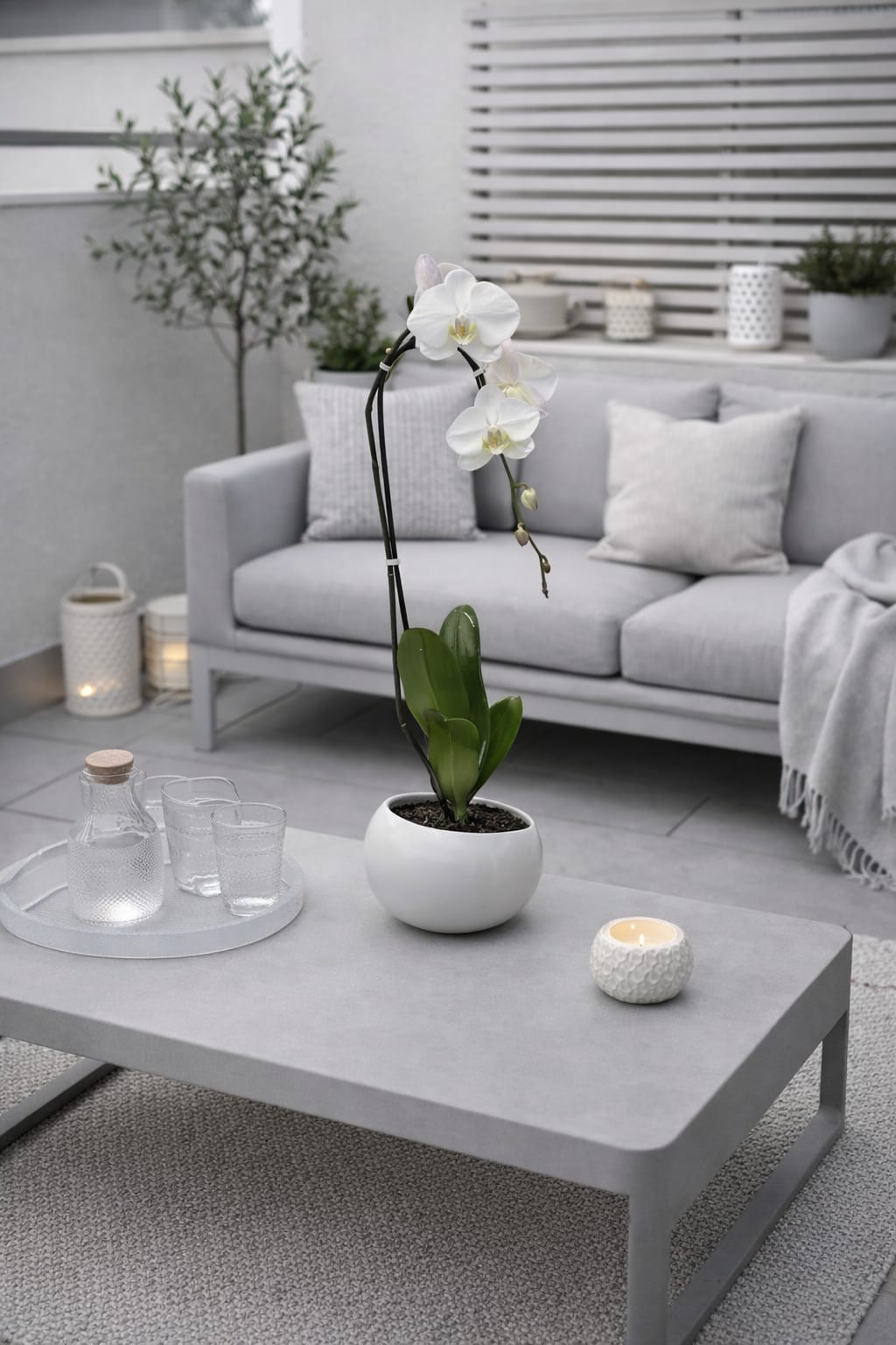 White Phalaenopsis Orchid – Minimalist Planter - This elegant Single white Phalaenopsis Cascade orchid arrangement creates a striking vertical presence, making it ideal for grand interiors and modern living spaces with a vase 7.5" D X 5.25" T. 