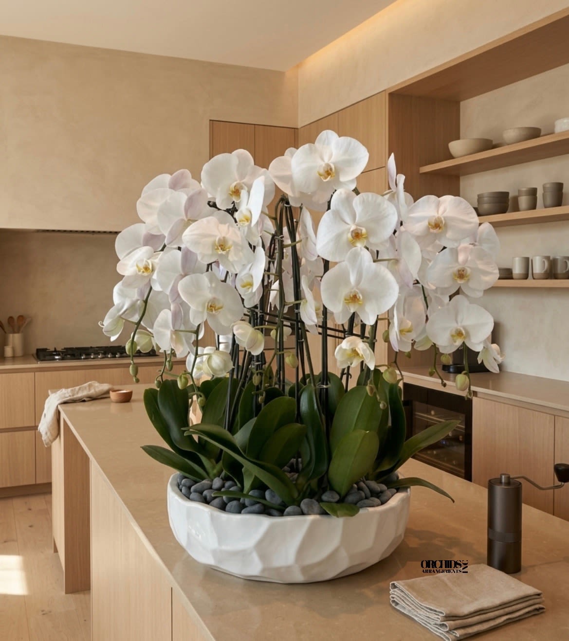 White Phalaenopsis Orchids – Grand Elegance Collection - This elegant Eleven White Phalaenopsis Cascade orchid arrangement creates a striking vertical presence, making it ideal for grand interiors and modern living spaces with a vase 19.5" D X 5" T. 