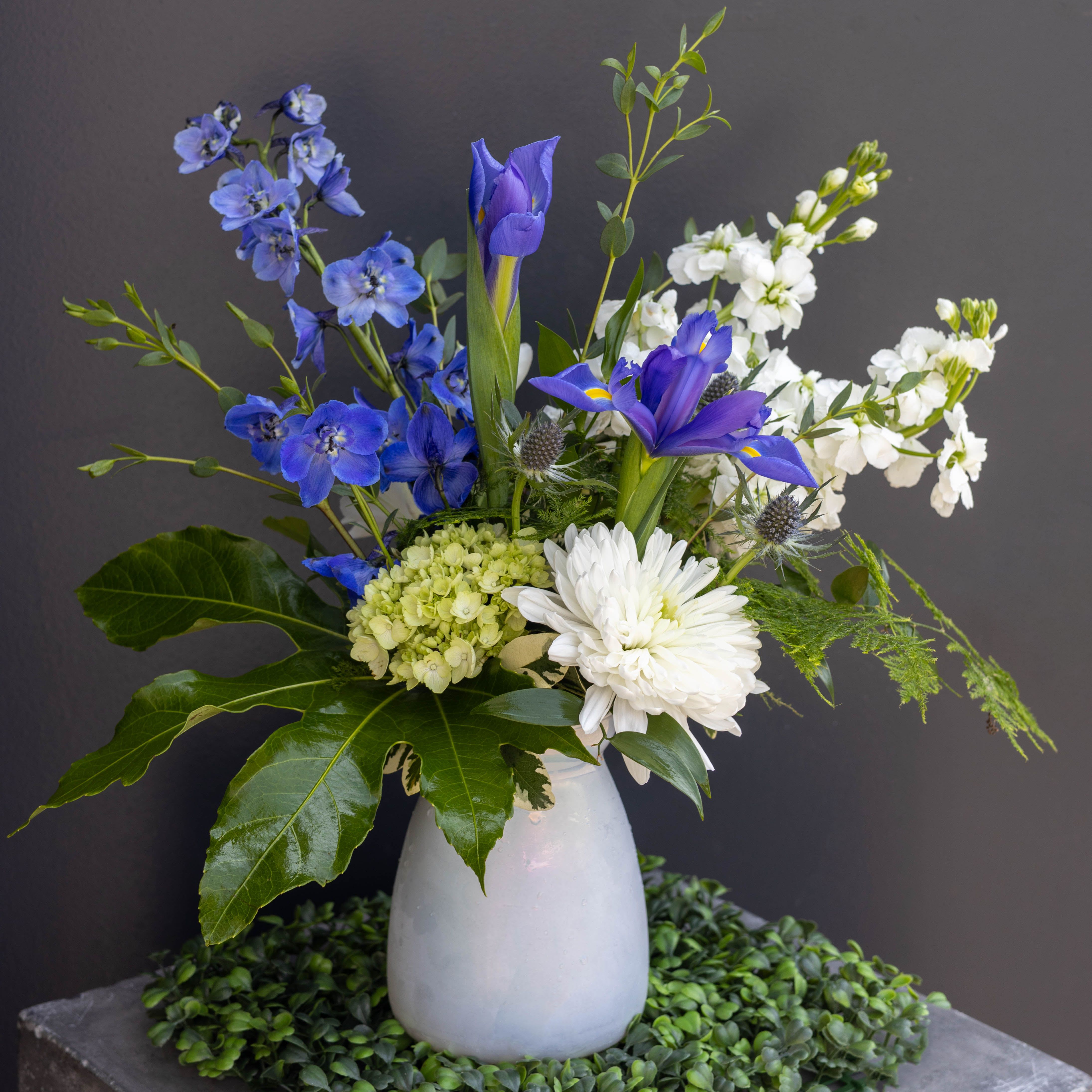 Daydreamer - Soft, serene, and effortlessly elegant, Daydreamer captures the gentle beauty of spring in full bloom. This thoughtfully designed arrangement features a harmonious blend of cool blue and crisp white florals, accented with fresh greenery for a naturally airy feel.  Nestled in a smooth, modern vase, Daydreamer brings a calming presence to any space that is perfect for brightening a home, celebrating a special moment, or simply indulging in the beauty of the season. Its palette of soothing hues evokes clear skies and peaceful mornings, making it an ideal gift for those who appreciate refined, nature-inspired design.  Let Daydreamer transport you to a place of calm, where spring lingers and every detail feels effortlessly beautiful