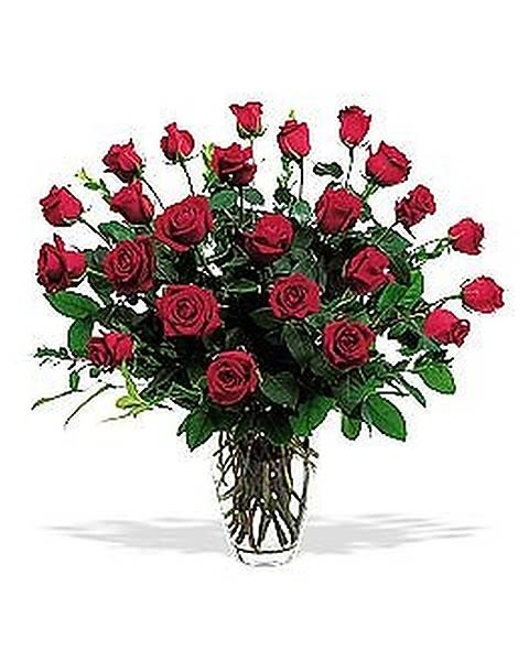 Two Dozen Red Roses - Two dozen red roses in a classic large glass vase is twice as impressive as a dozen red roses. Send these and that special someone will be twice as thrilled. 
