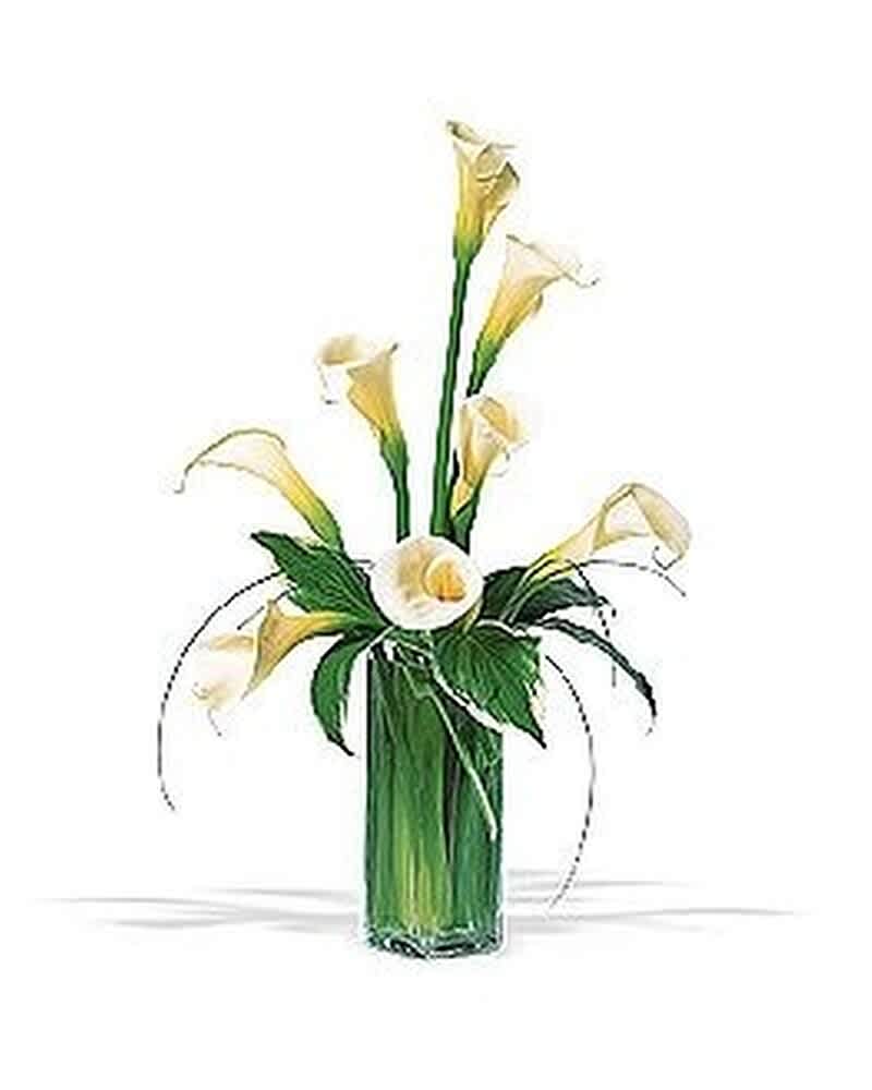 Tall arrangement of white calla lilies in a clear glass vase with wrapped green foliage