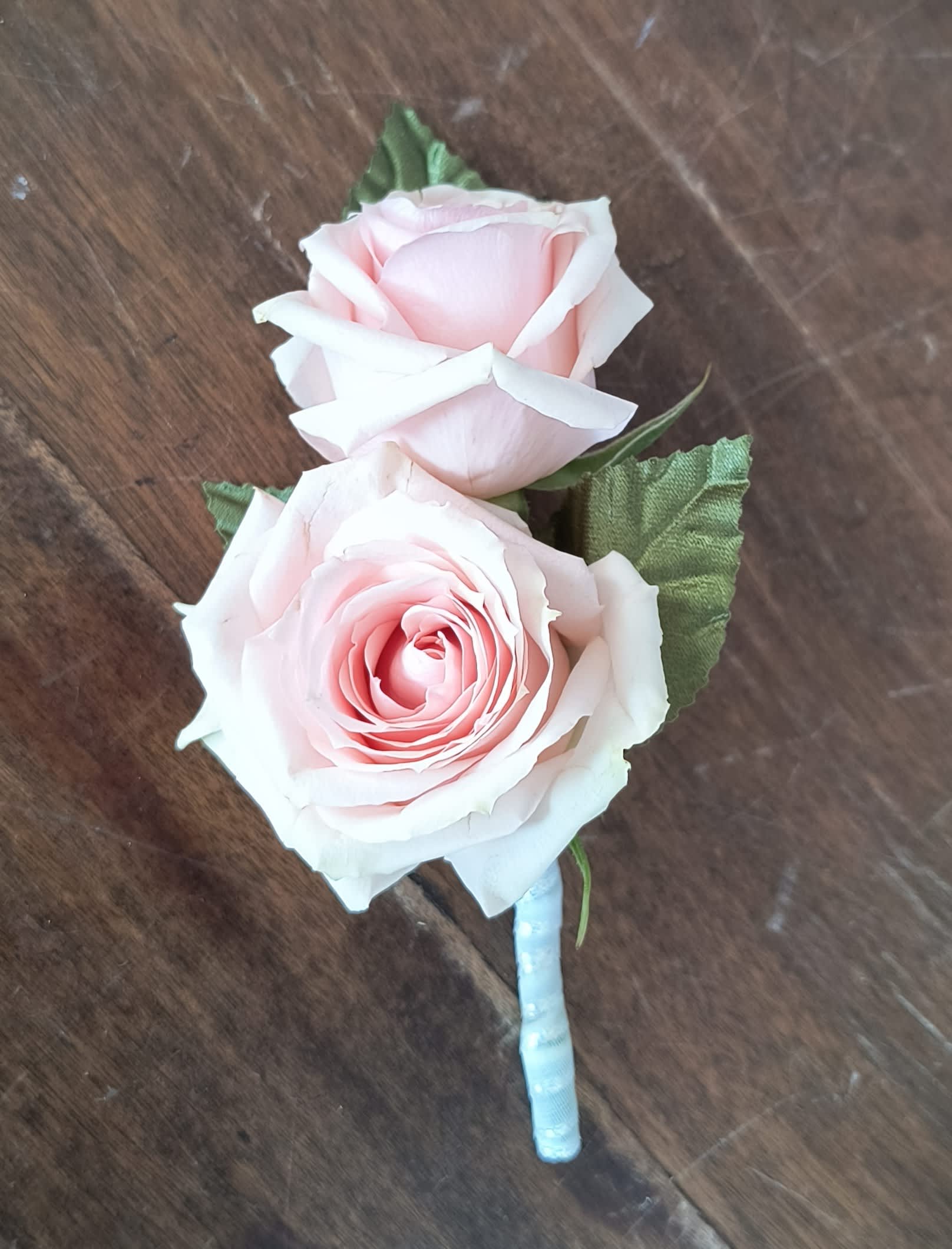 Two pale pink roses with green leaves on a wrapped stem