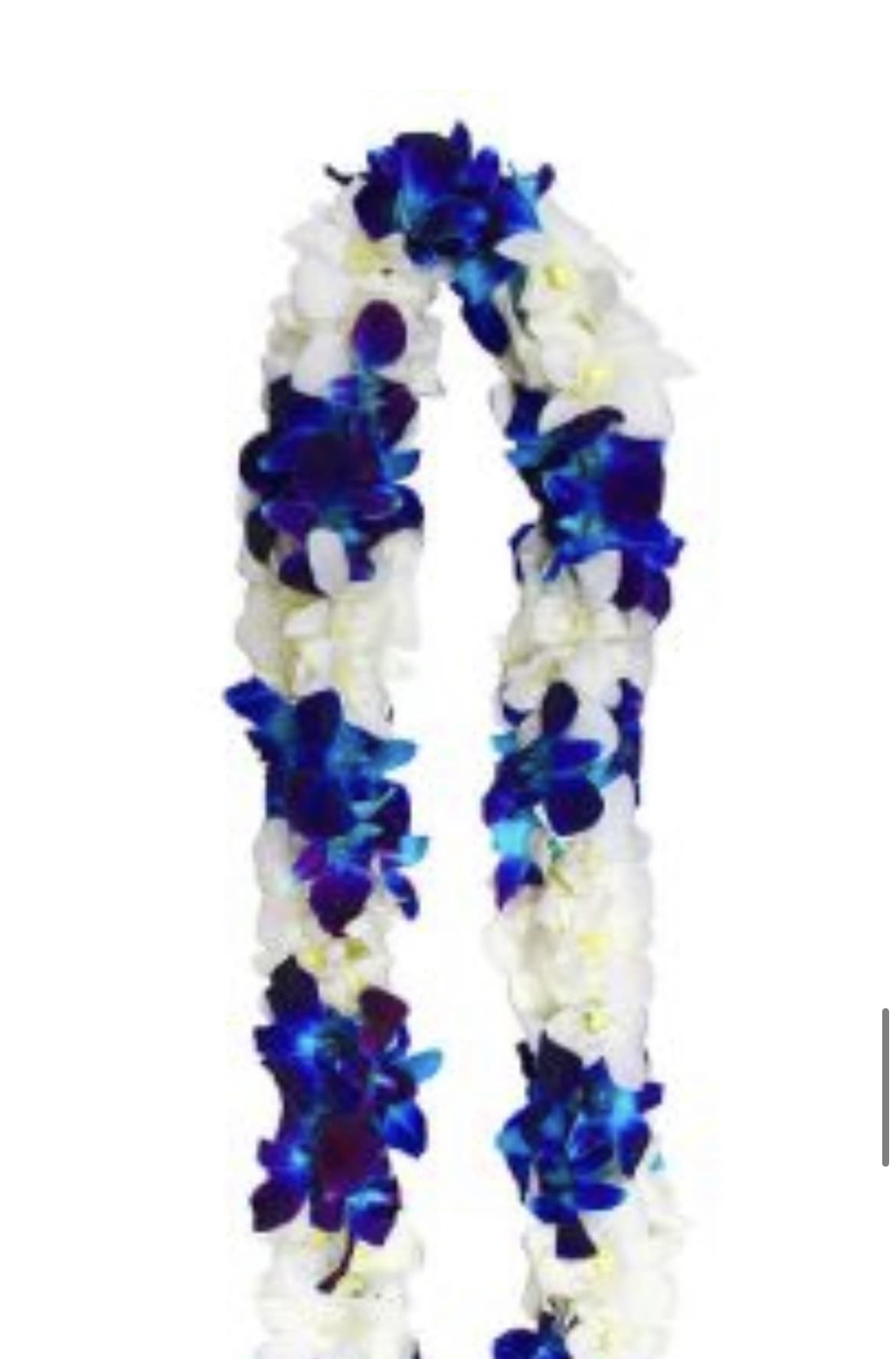 Blue &amp; white lei - Blue &amp; white lei MUST PRE-ORDER AT LEAST A WEEK IN ADVANCE!