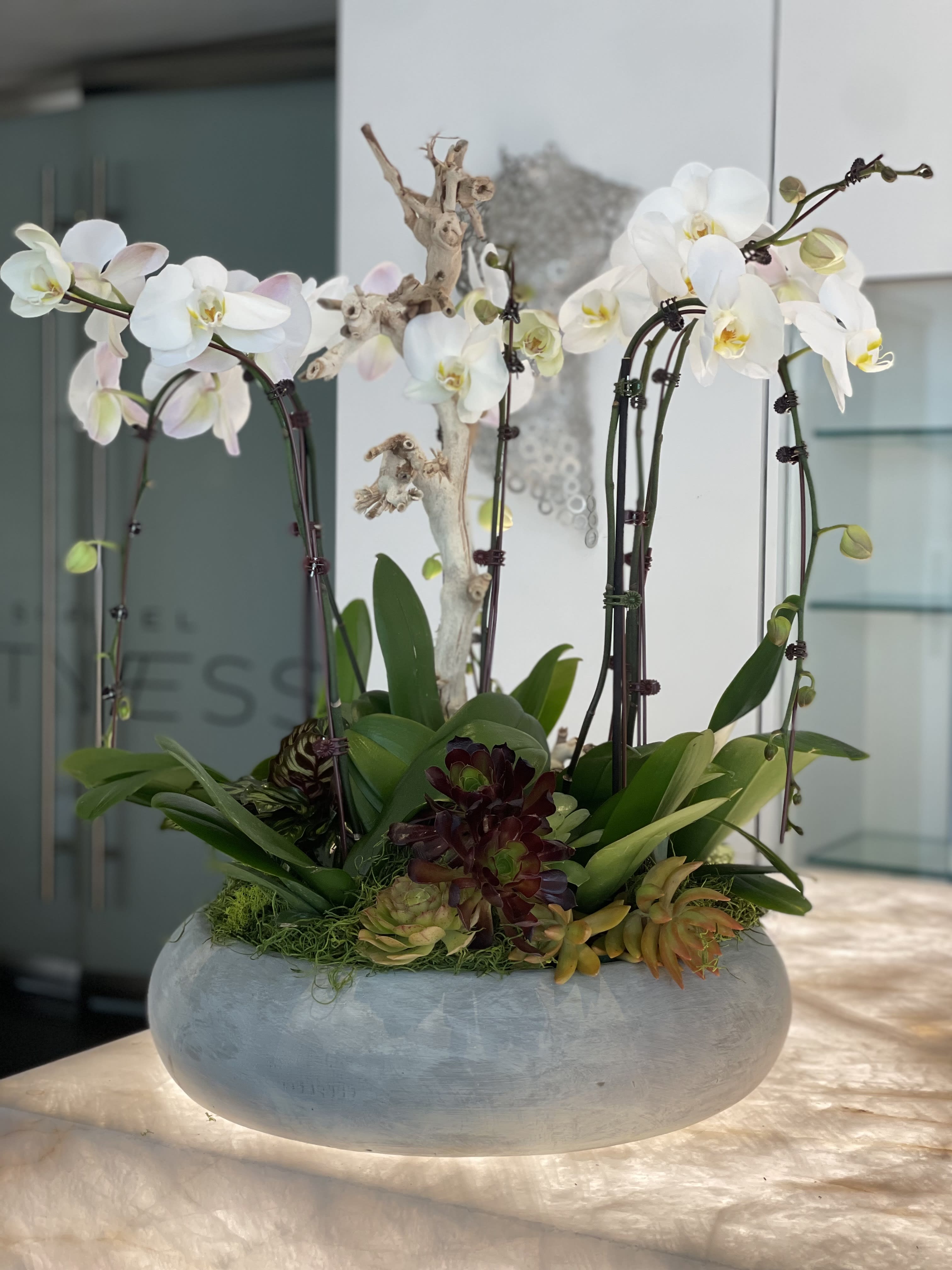 White orchids arranged in a low gray planter with succulents.