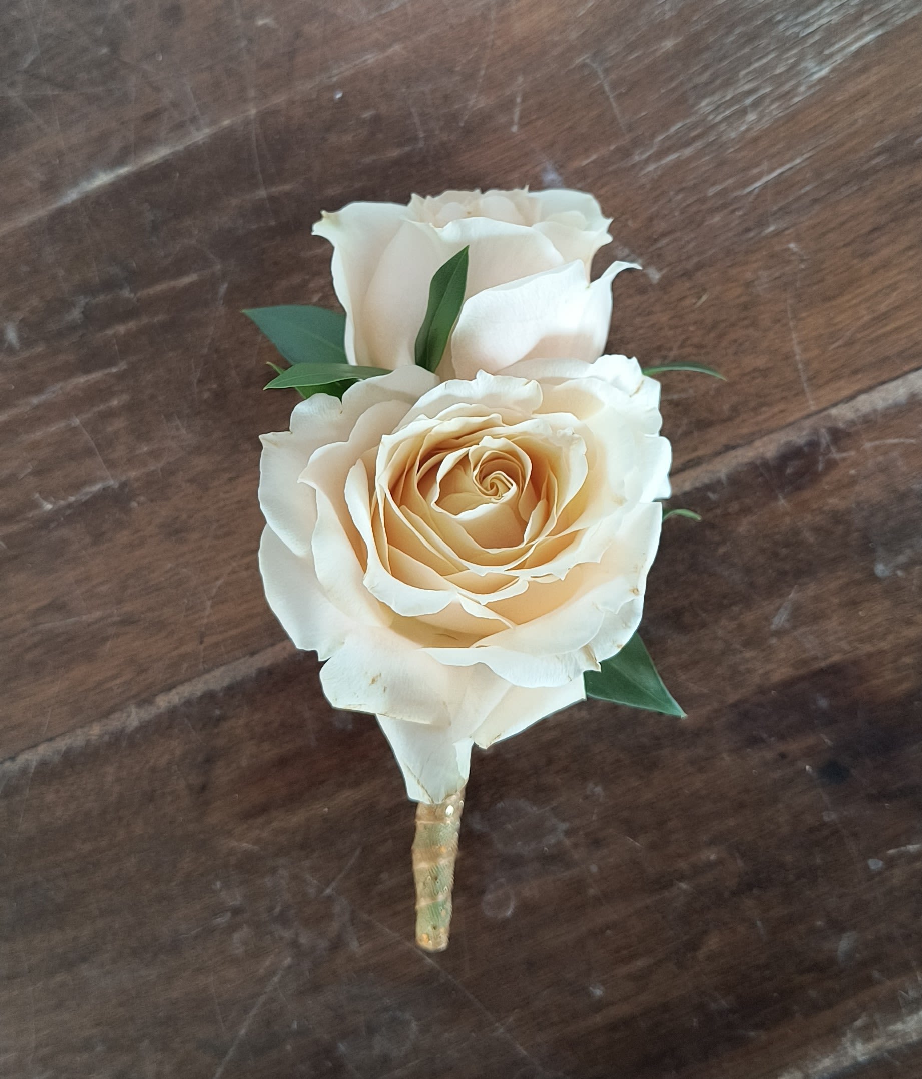 Two cream roses with small green leaves on a wrapped stem