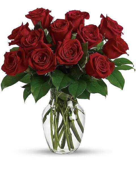 Enduring Passion - 12 Red Roses - A dozen red roses is a timeless gift of love, and the time is always right to give and receive this enchanting gift. Birthday, anniversary or just because, the magic of roses will always cast its spell. You'll see.  This romantic bouquet includes one dozen red roses accented with lush greenery. Delivered in a clear glass rose vase.  Approximately 14 1/2" W x 15 3/4" H