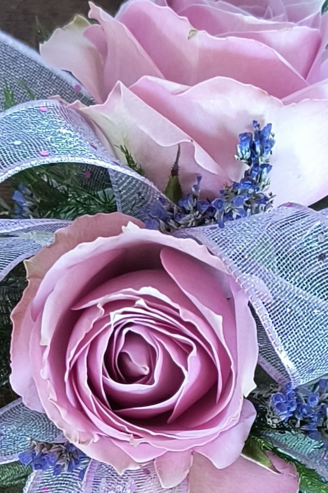 Pink roses wrapped in silver mesh with small blue filler flowers