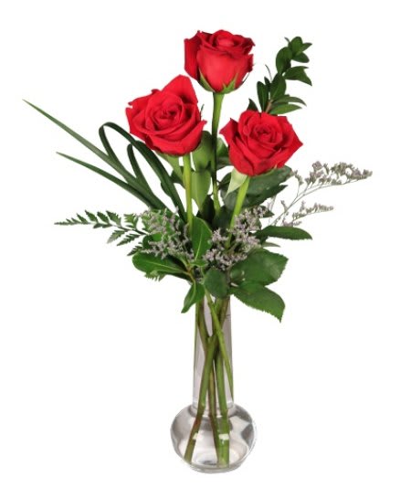 Three red roses in a clear glass vase with greenery