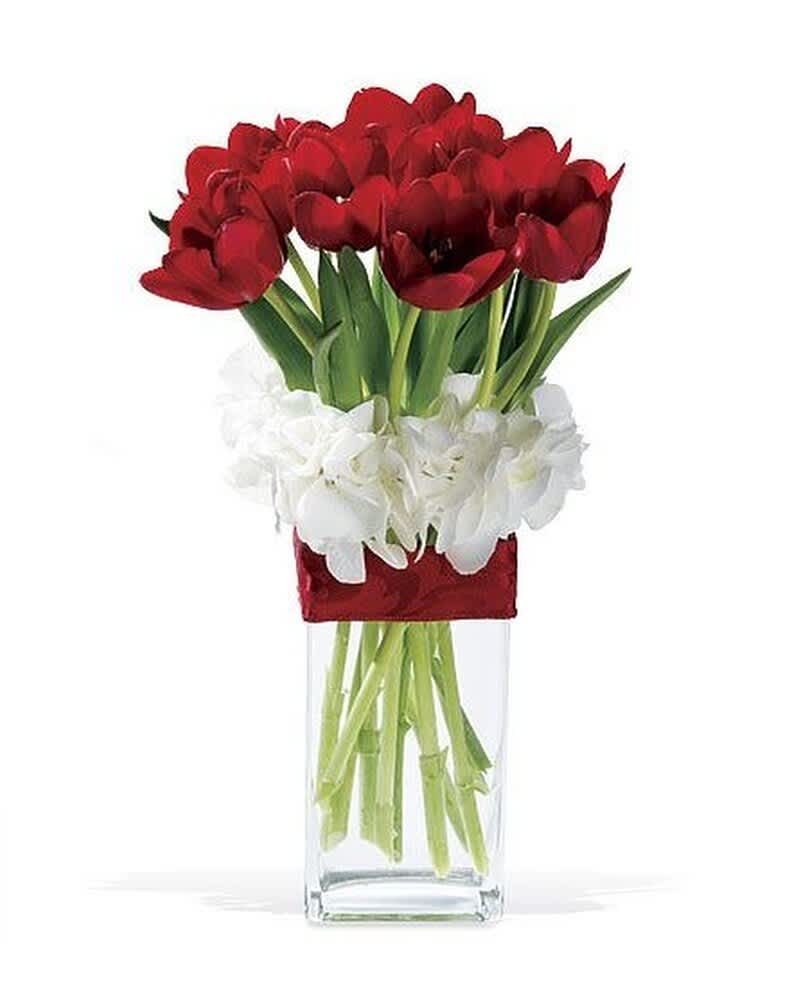 Tall glass vase with red tulips and white hydrangeas wrapped with a red band