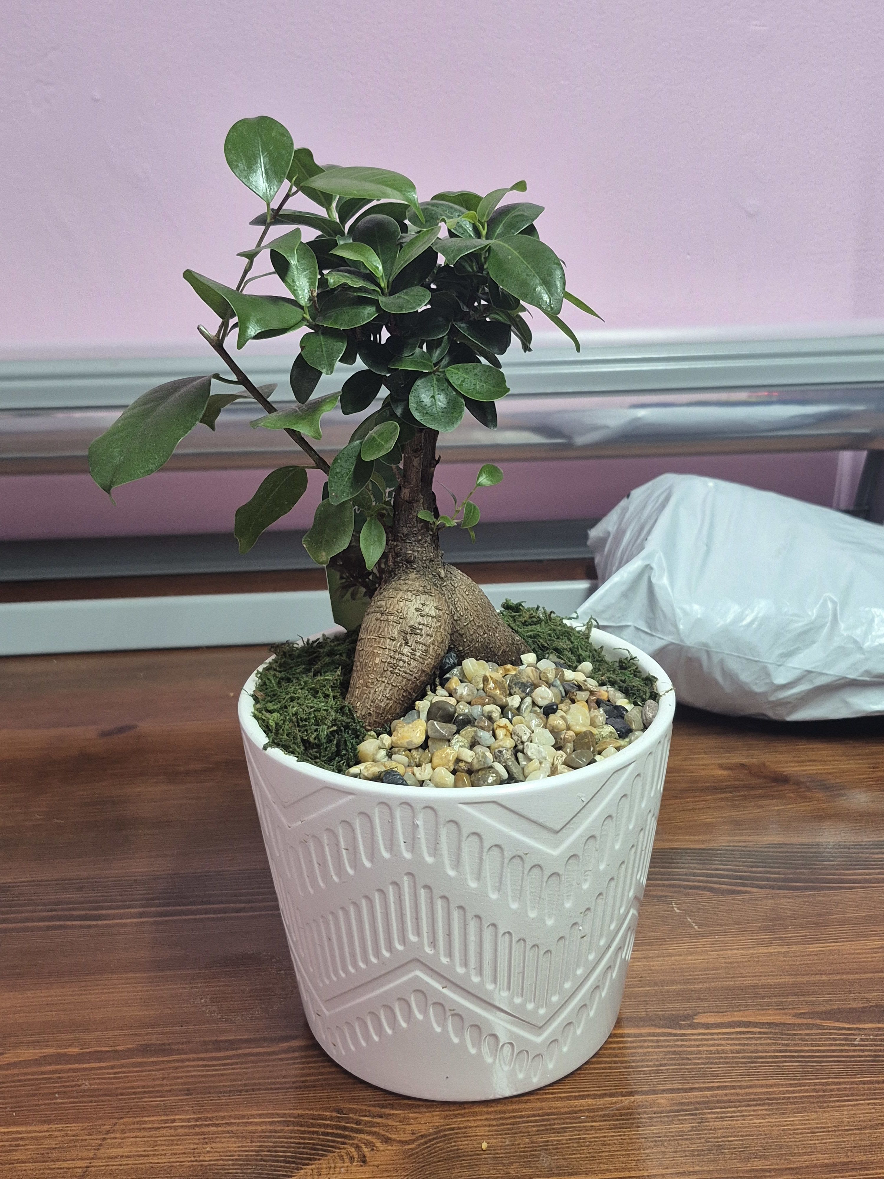 Bonsai 3  - Bonsai is the Japanese art of cultivating trees and plants in small pots, shaping them through pruning and design techniques to resemble miniature versions of mature trees. Originating in China and perfected in Japan, the term literally means "planted in a tray," combining gardening with artistic expression and patience.