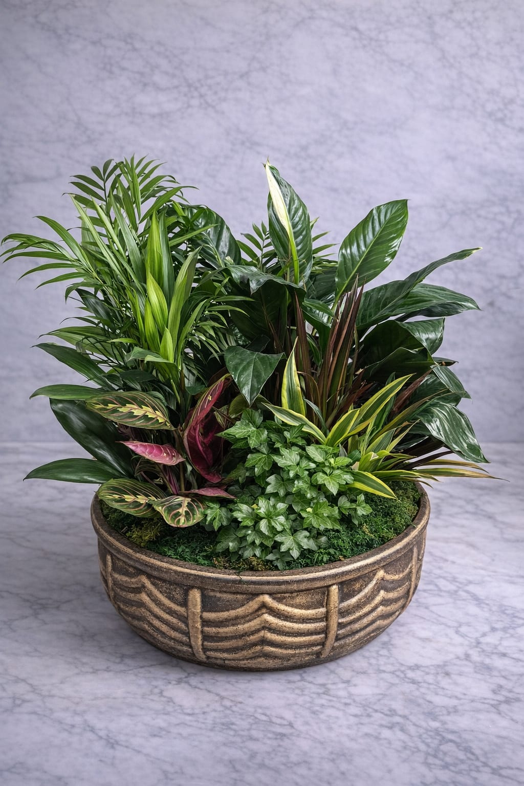 Elegant Tropical Plant Arrangement - A sophisticated and lush tropical composition designed for elevated interior styling. This arrangement features a curated mix of premium foliage including Peace Lily, Parlor Palm, Dracaena, Calathea, and English Ivy, layered to create depth, movement, and contrast. Set in a handcrafted 15 x 6 inch ceramic planter, this piece blends natural elegance with modern design. The warm textured finish of the container enhances the richness of the greenery, while the balanced proportions create a full, luxurious look without overwhelming the space. The combination of glossy leaves, structured lines, and soft trailing greenery makes it ideal for luxury interiors, offices, or as a long-lasting gift. Designed to thrive indoors with minimal maintenance, this arrangement delivers both visual impact and longevity—bringing a refined, organic presence into any environment.