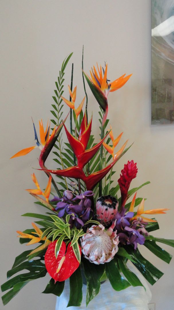 Exotic Floral  explosion  package  - This powerful mix of exotic blooms is sure to please a fantastic mix of tropical flowers locally grown from the islands of Hawaii  this order also includes one extra large exotic florist choice arrangement one medium tropical arrangement 40 small hand tie bouquets 