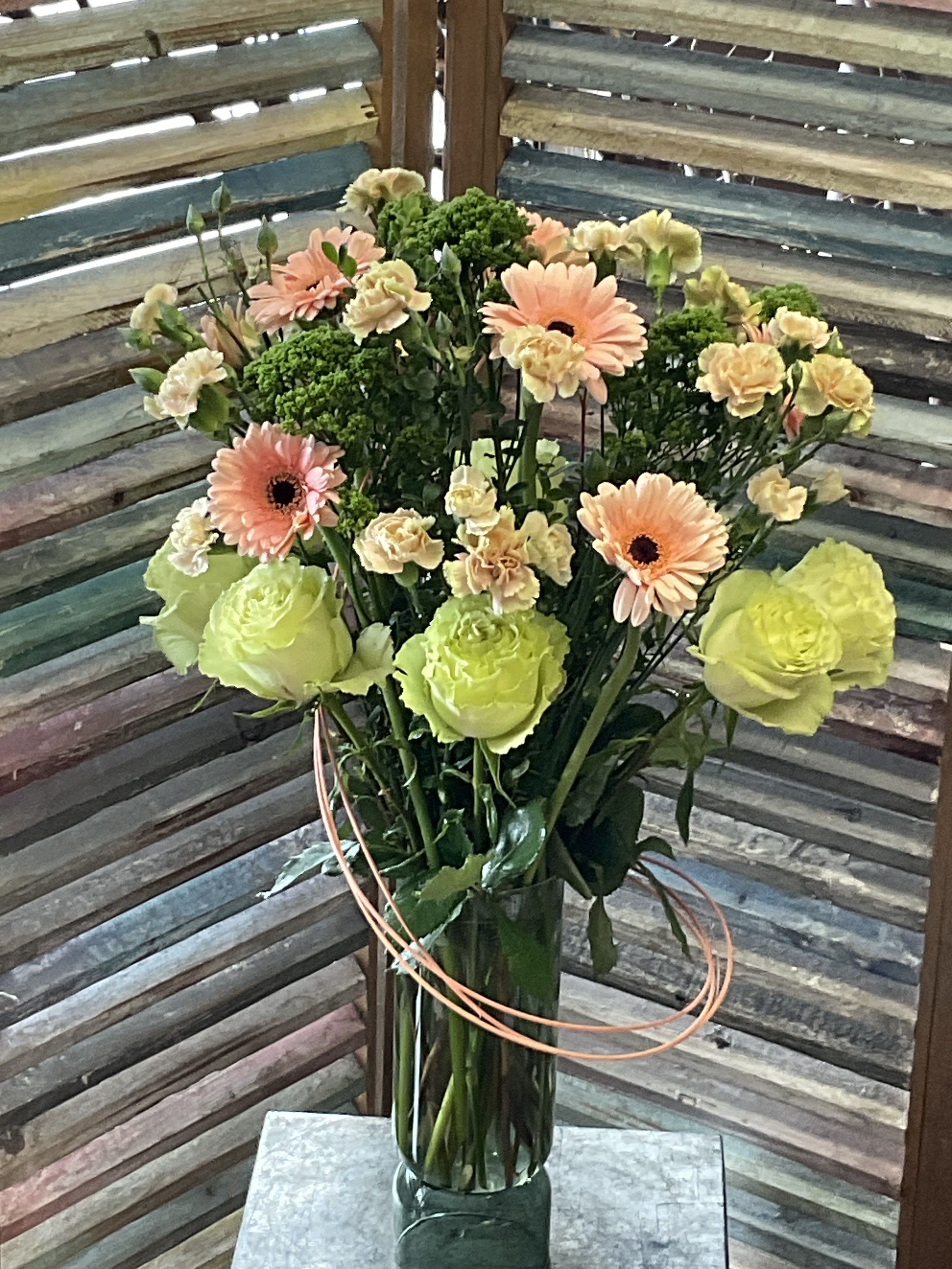 26-117 - Peach gerbera daisies and pale green roses make a fresh, cheerful statement in this flower arrangement-perfect as a birthday bouquet, a thank-you gift, or a general springtime surprise for someone you want to brighten. The soft mix of green, peach, and yellow tones reads like a warm spring morning; the recipient will feel noticed and uplifted by the friendly, approachable color story and the informal, full shape.  Rounded gerbera heads pair with clusters of cream carnations and airy branching foliage for a textured, garden-fresh look. Stems arrive gathered in a tall clear glass vase with a simple decorative ribbon at the base, giving strength and a touch of polish while keeping the overall feel effortless. Sized to sit nicely on a dining table or desk, this arrangement brings long-lasting personality and easy care-keep in fresh water, trim stems every few days, and enjoy the lively spring palette for as long as possible.