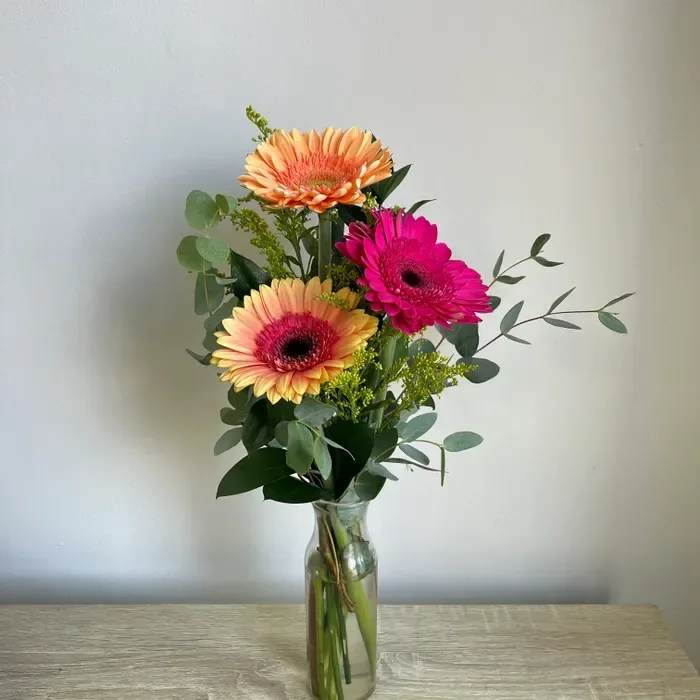 Triple Gerber Daisies Vase - A cheerful mix of colorful gerbera daisies—perfect for any occasion or a simple pick-me-up  Colors will vary from what’s shown.