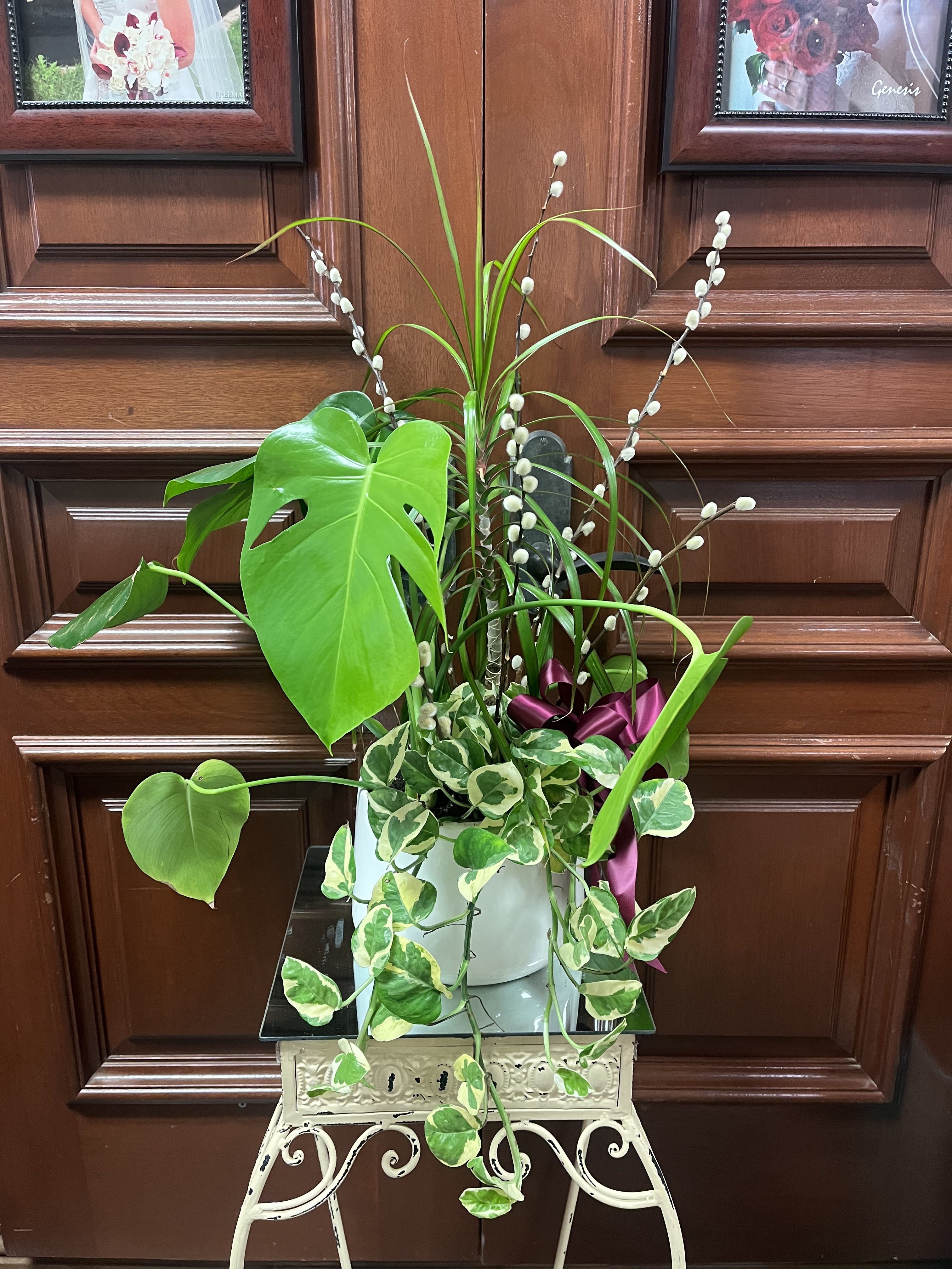 Potted green plant arrangement with trailing variegated vines and a purple ribbon