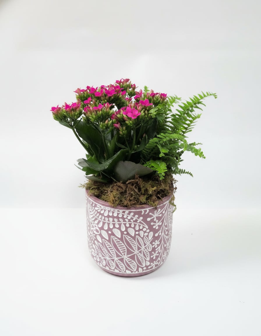 Chic Blooming Garden - Potted flowering plant with bright seasonal blooms in a decorative ceramic pot, perfect for a small tabletop.