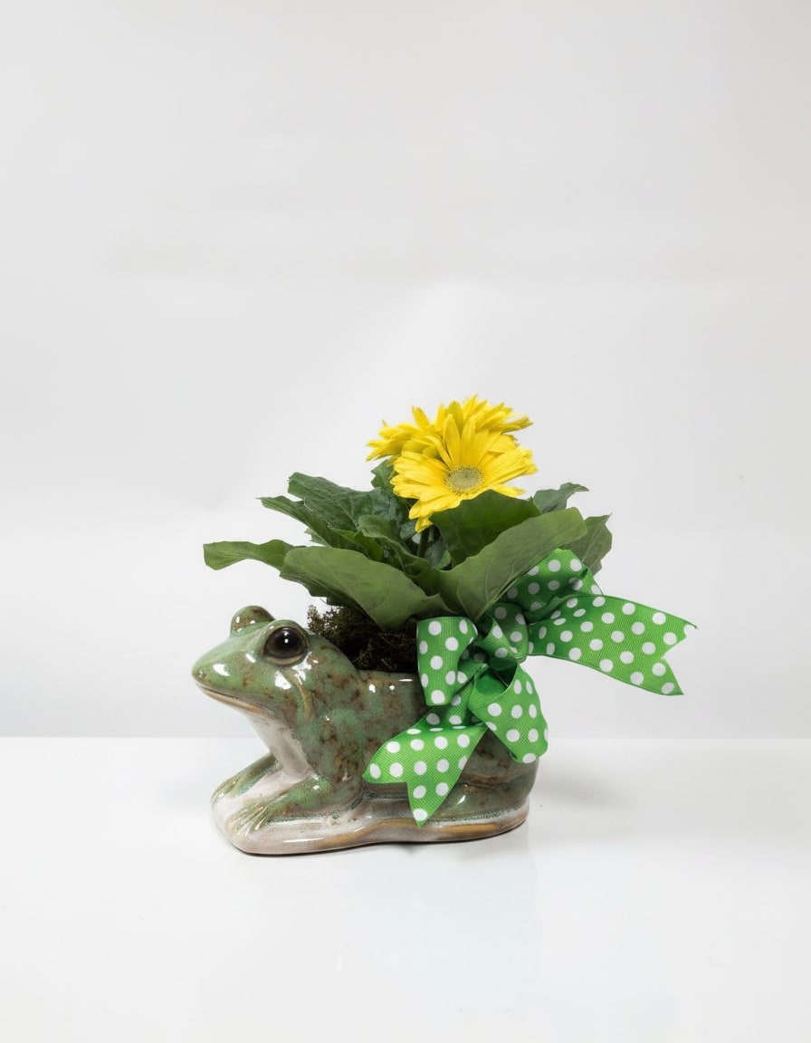 Petal Hopper - Brightly colored blooms in a whimsical ceramic frog planter with a green polka‑dot ribbon, compact size.