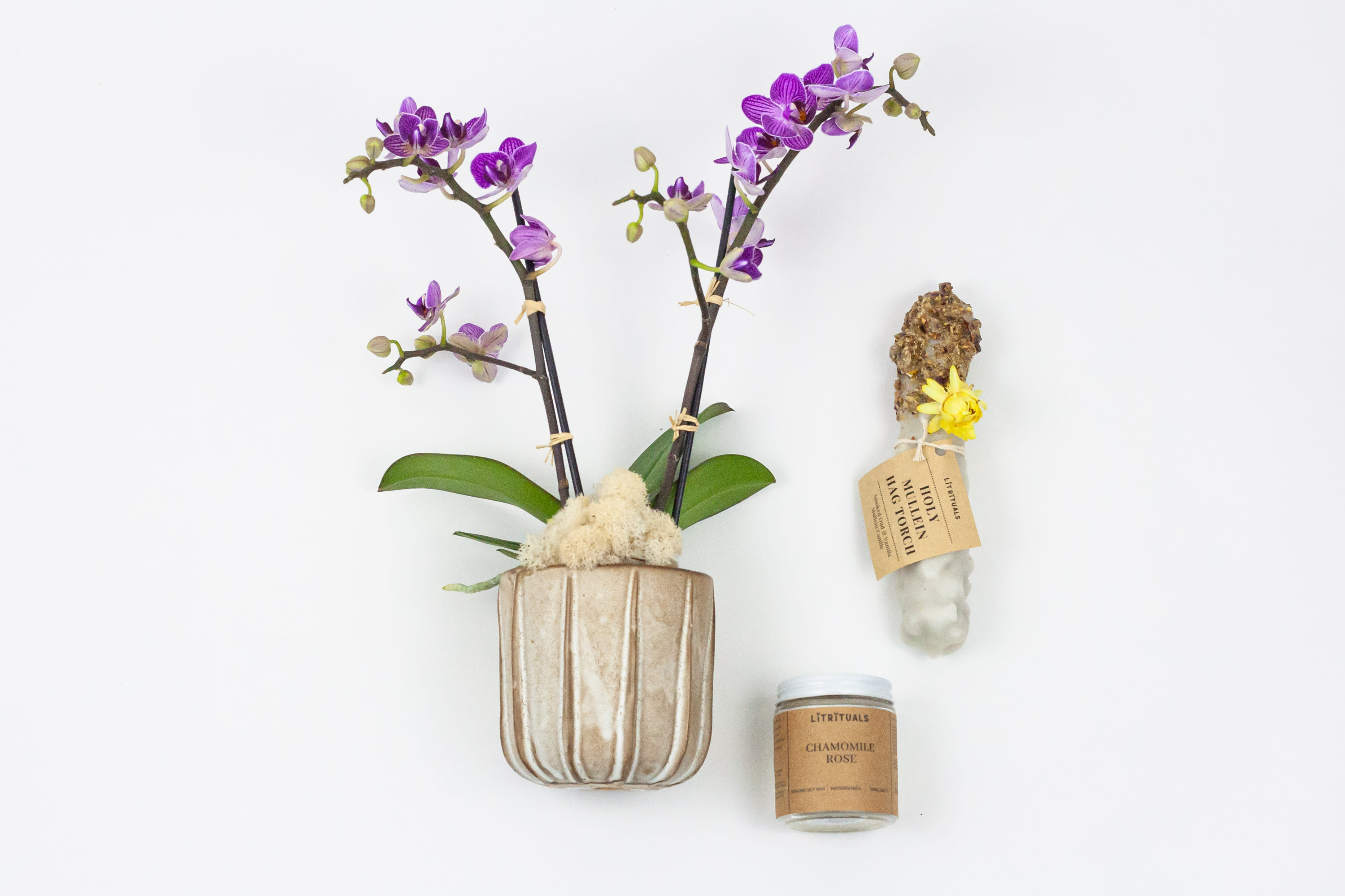 Peaceful Mind Gift Set - PEACEFUL MIND GIFT SET Sol Ambiance is proud to support these artists and makers, and other small businesses, to make our community and the world a better place. Enjoy your gift set!  White Mini Phalaenopsis Orchid planted in Accent Decor's ceramic pot. Lit Rituals Holly Mullein Hag Torch This Hag Torch is essentially a candle (another common name for it is "witch candle") made from mullein stalks and pure white beeswax. Each stalk is lovingly dipped in an herbal medley of mugwort, rose, yarrow and chamomile to heighten our ability to see through the veil and communicate with ancestral spirits. The yarrow offers protection to warn off any negative spirits and vibes. Lit Rituals Chamomile Rose Candle 'Chamomile Rose' soy candle was inspired by the soothing invisible blanket that envelopes one who sips a cup of chamomile and rose petal tea. If you don't know this pleasure then please stop reading this and go make yourself this cup of perfection. Both sweet and floral and gentle and calming, chamomile rose tea absolutely deserves a candle to be made in its honor, so here it is!  