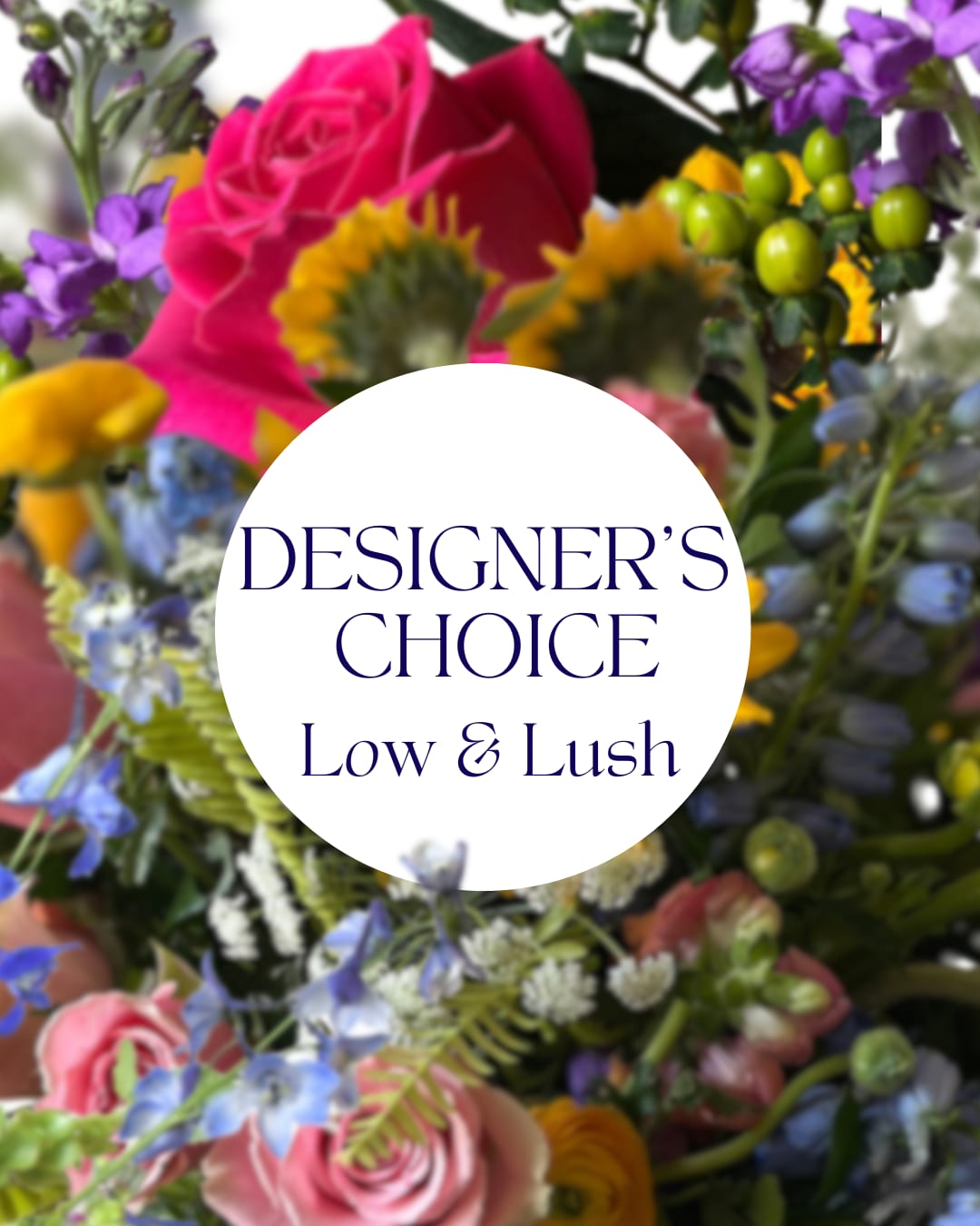 Designer's Choice Low &amp; Lush - Trust our designers to create a beautiful, low and lush arrangement for any occasion. Using whatever flowers that are available the day of delivery, our designer will create the arrangement in a low vase.   Please call the shop if you need to customize your order. 