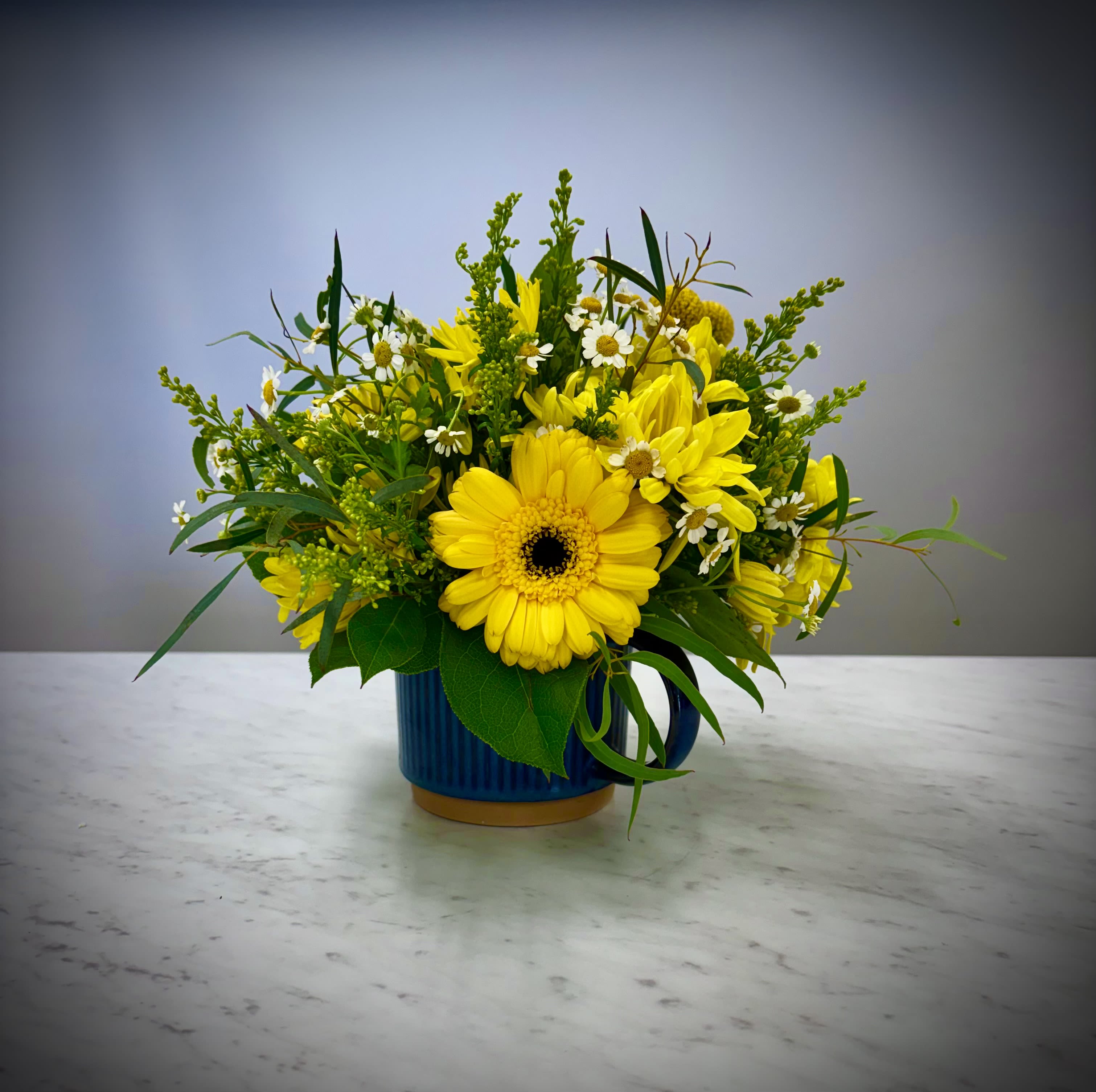 Mother's Day (Lorelai's Version) - Mother's Day (Lorelai's Version) Inspired by one of our favorite TV moms, who couldn't use a cup of sunshine in their day?  Tell mom you love her with this beautiful ceramic mug full of (not quite) 1000 cheerful yellow daisies.  This arrangement features yellow daisies, craspedia (Billy Buttons), eucalyptus, chamomile (feverfew) and the star of the show- bright yellow Gerber Daisies. All set into a beautiful, handcrafted mug that mom can use later, this arrangement is sure to brighten anyone's day.  "It should be magical. There should be music playing and romantic lighting and a subtle buildup to the popping of the big question. There should be a thousand yellow daisies and candles, and a horse and I don’t know what the horse is doing there unless you’re riding it, which seems a little over the top..." - Lorelai Gilmore  (Coffee mug is functional and food safe, dishwasher and microwave safe)