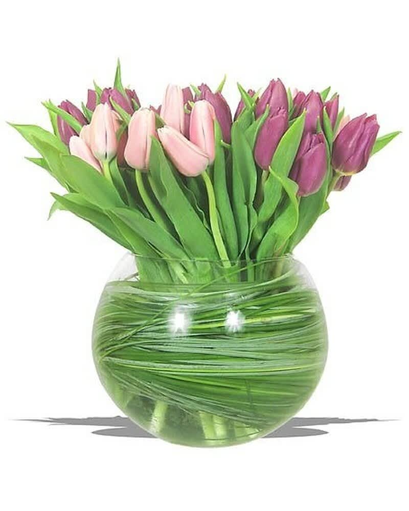 Pink and purple tulips arranged in a round clear glass bowl vase wrapped with green foliage