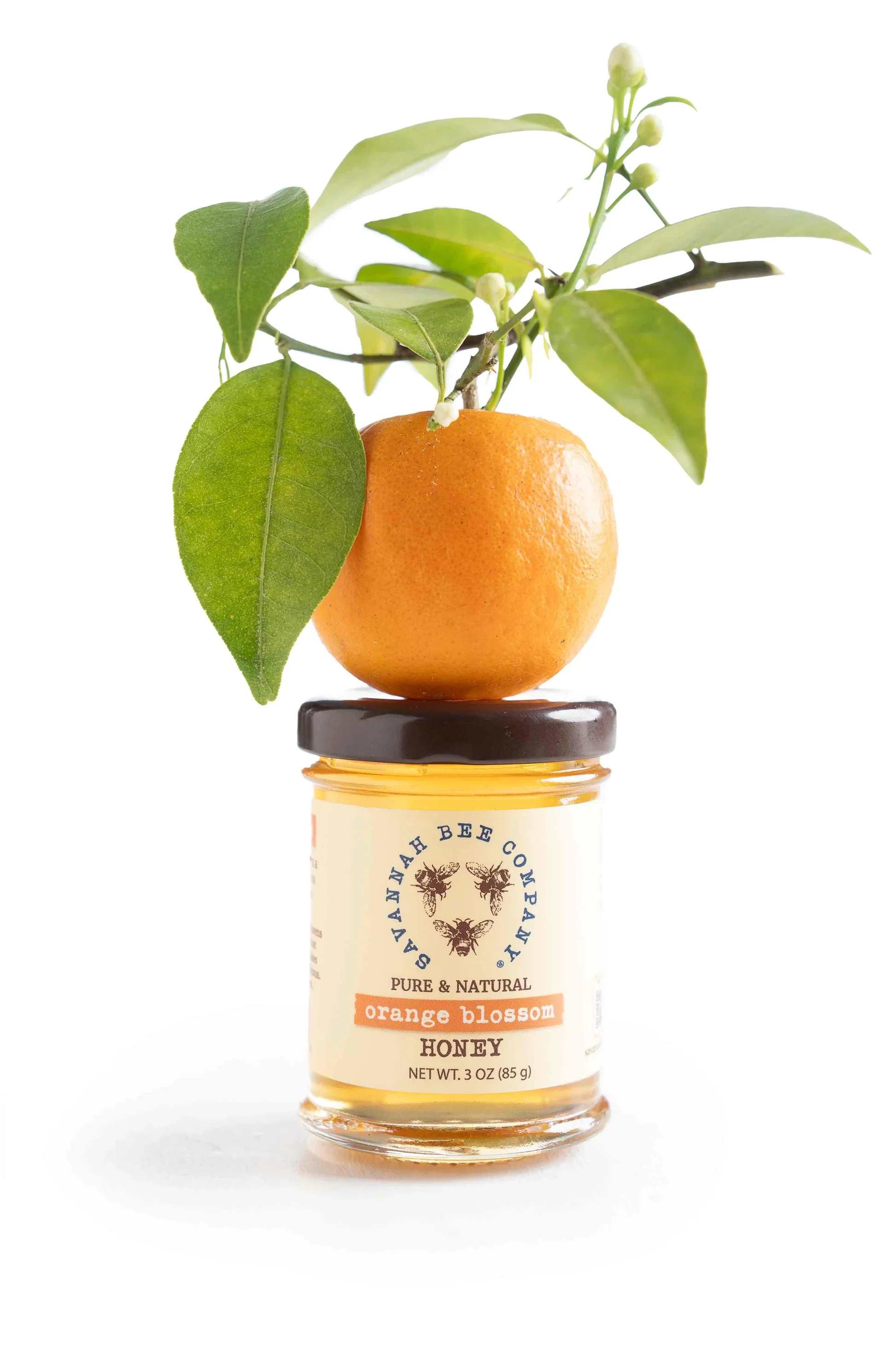 Orange blossom honey jar topped with an orange and leafy branch