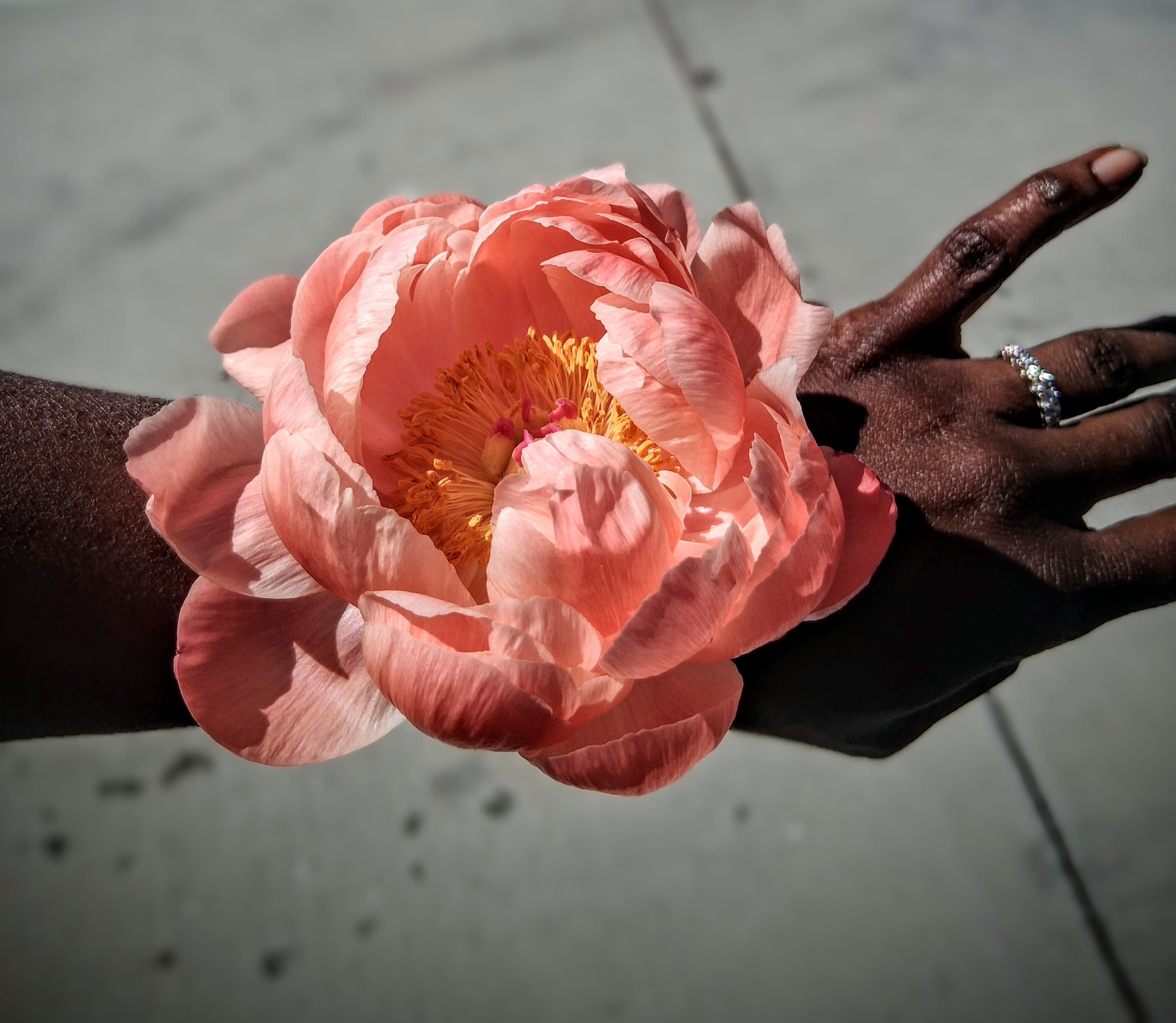 The Shirley - The Shirley is a tribute to Shirley Franklin.  Atlanta's first woman Mayor who always wore a peony lapel corsage. A stunningly simple display of elegance.