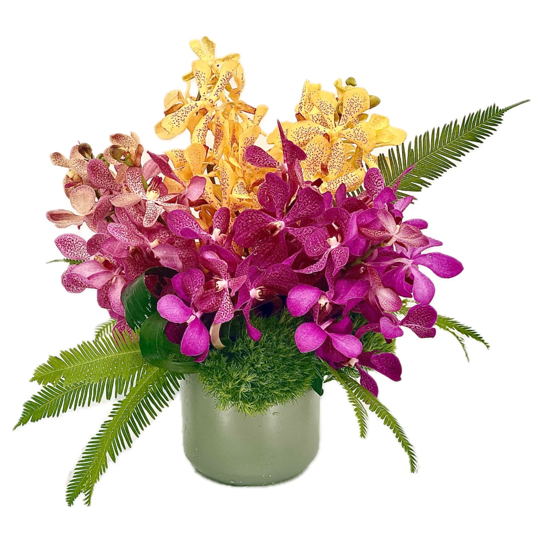 Ajay - Gorgeous floral Mokara orchids with greenery to add a grounded feel to any space.