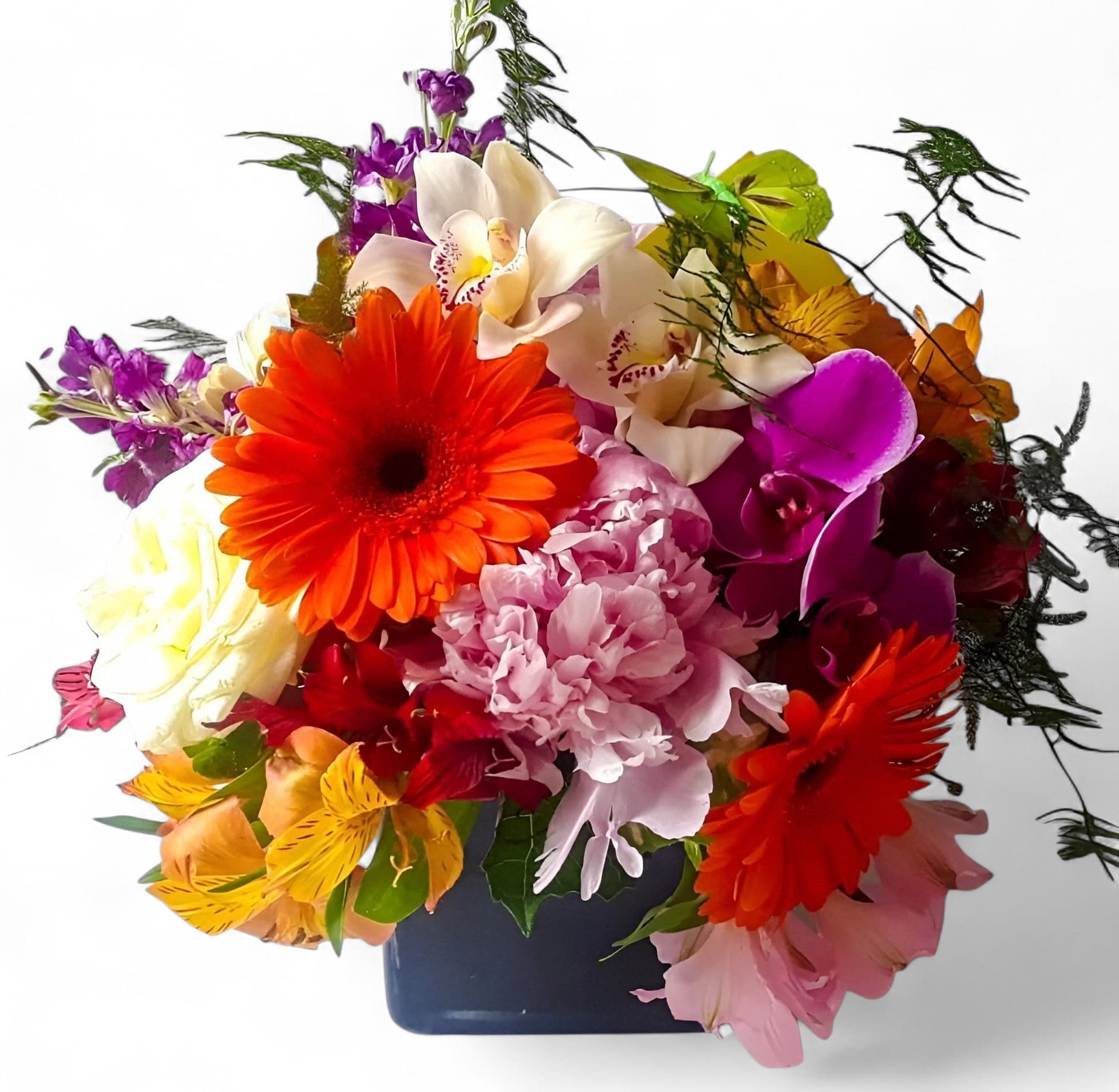 Vibrant Blossom Beauty Designer's Choice - Vibrant blossoms of that day roses orchids and more arranged in a black modern glass vase. Beautiful and perfect to send for every occasion to show them how much you care. All bouquets are always made extra special and unique each and every time. Send happiness.