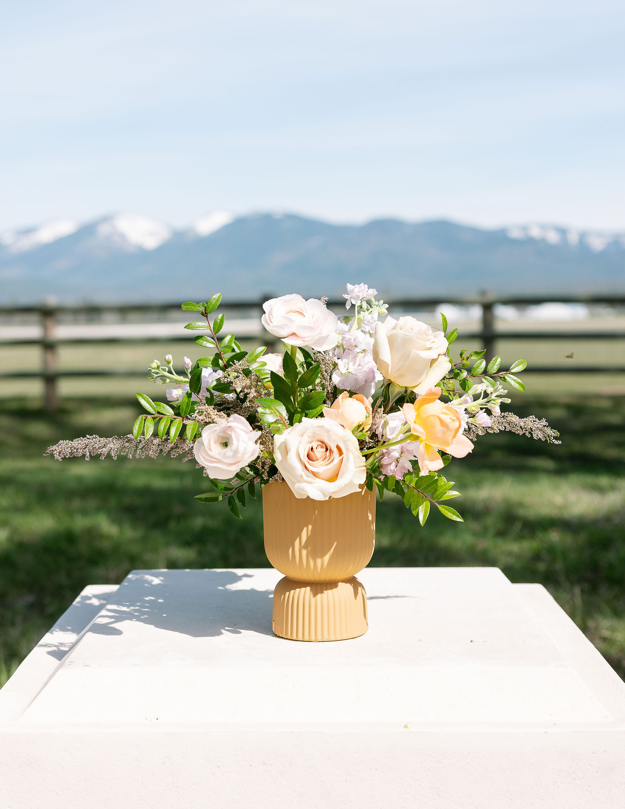 Low arrangement of white and peach roses in a matte yellow pedestal vase set outdoors.