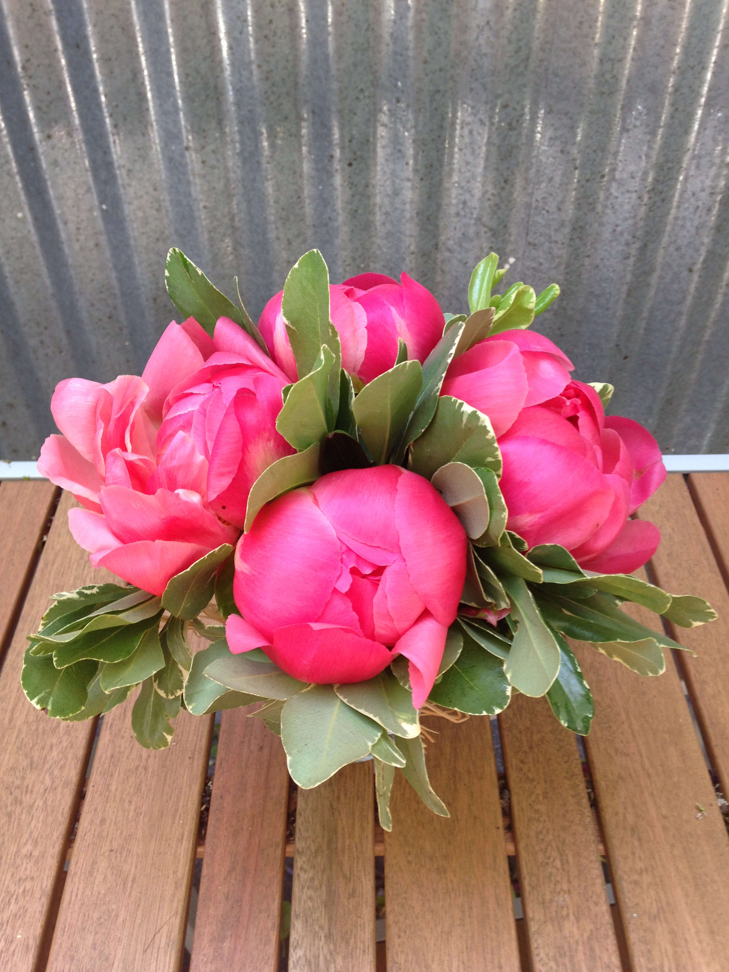 Low arrangement of bright pink peonies with dense foliage on a wooden table