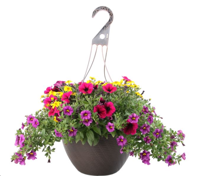Hanging basket of pink, purple, and yellow flowers in a dark planter