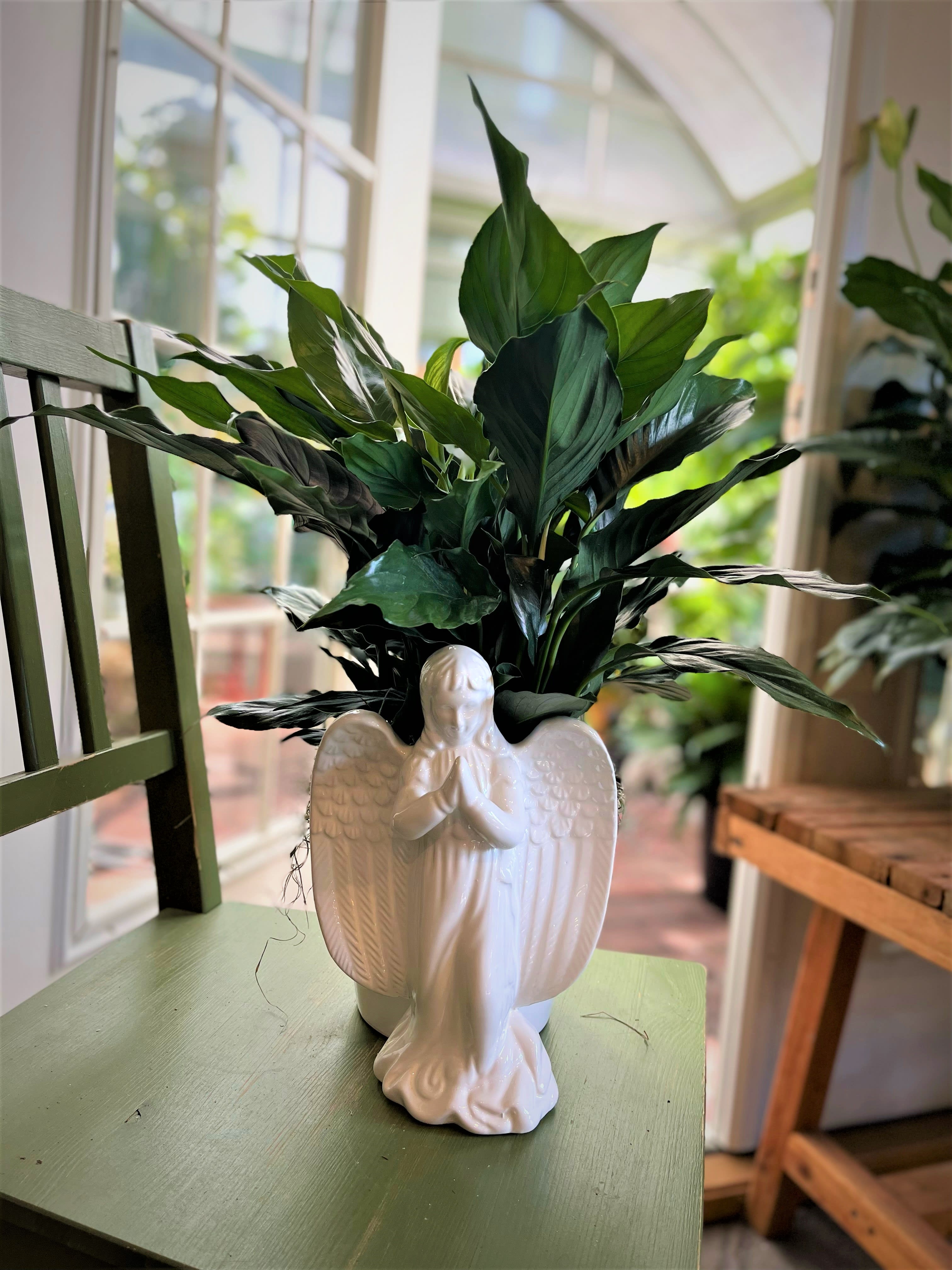 Potted green houseplant in a white angel-shaped ceramic planter