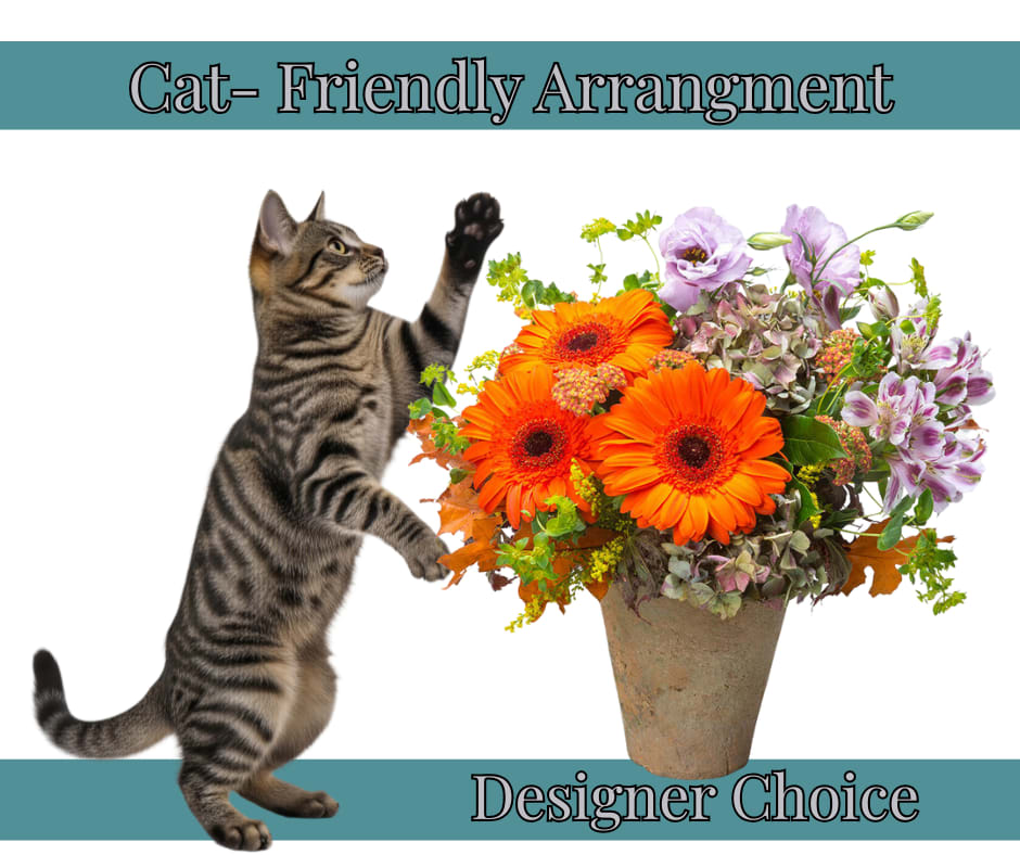 Cat beside a mixed flower arrangement in a rustic vase