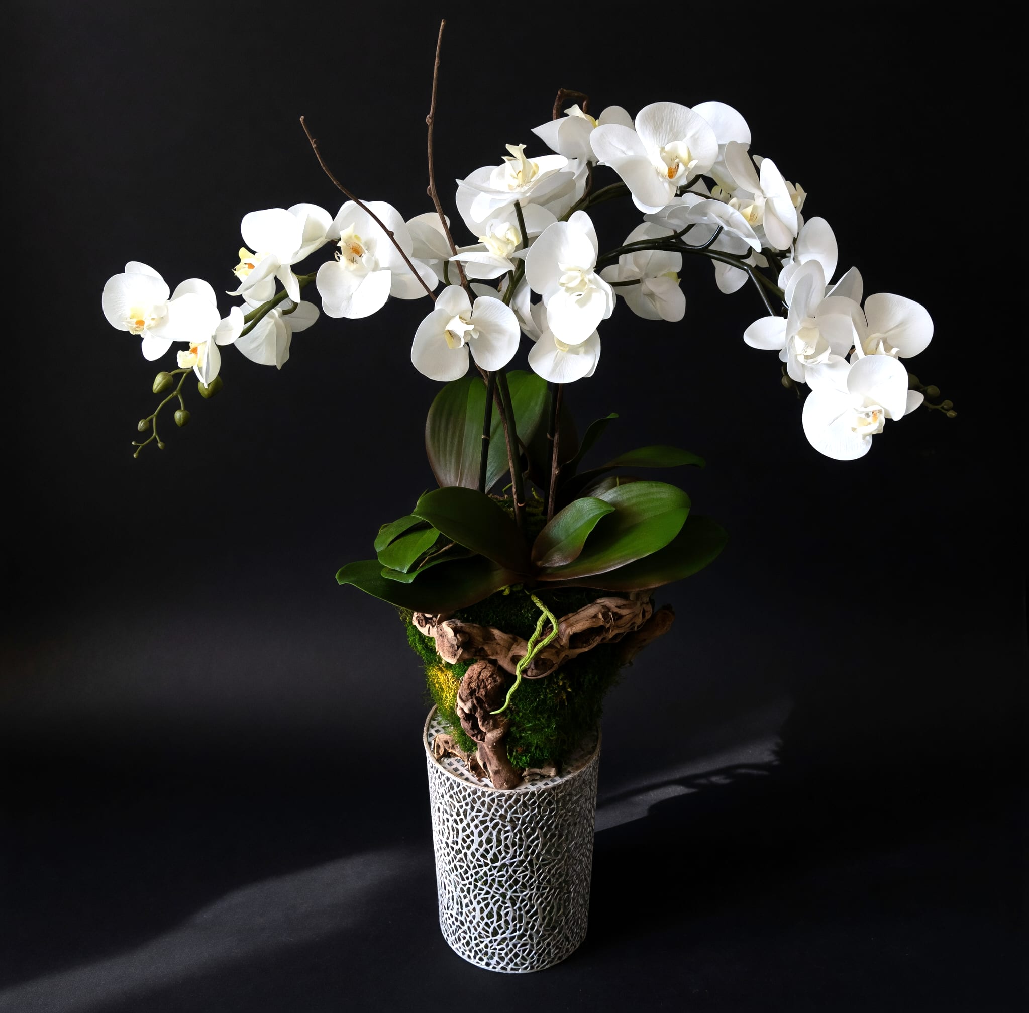 Permanent Orchid Planter - Permanent orchid plant in a California olive wood and preserved moss planter.