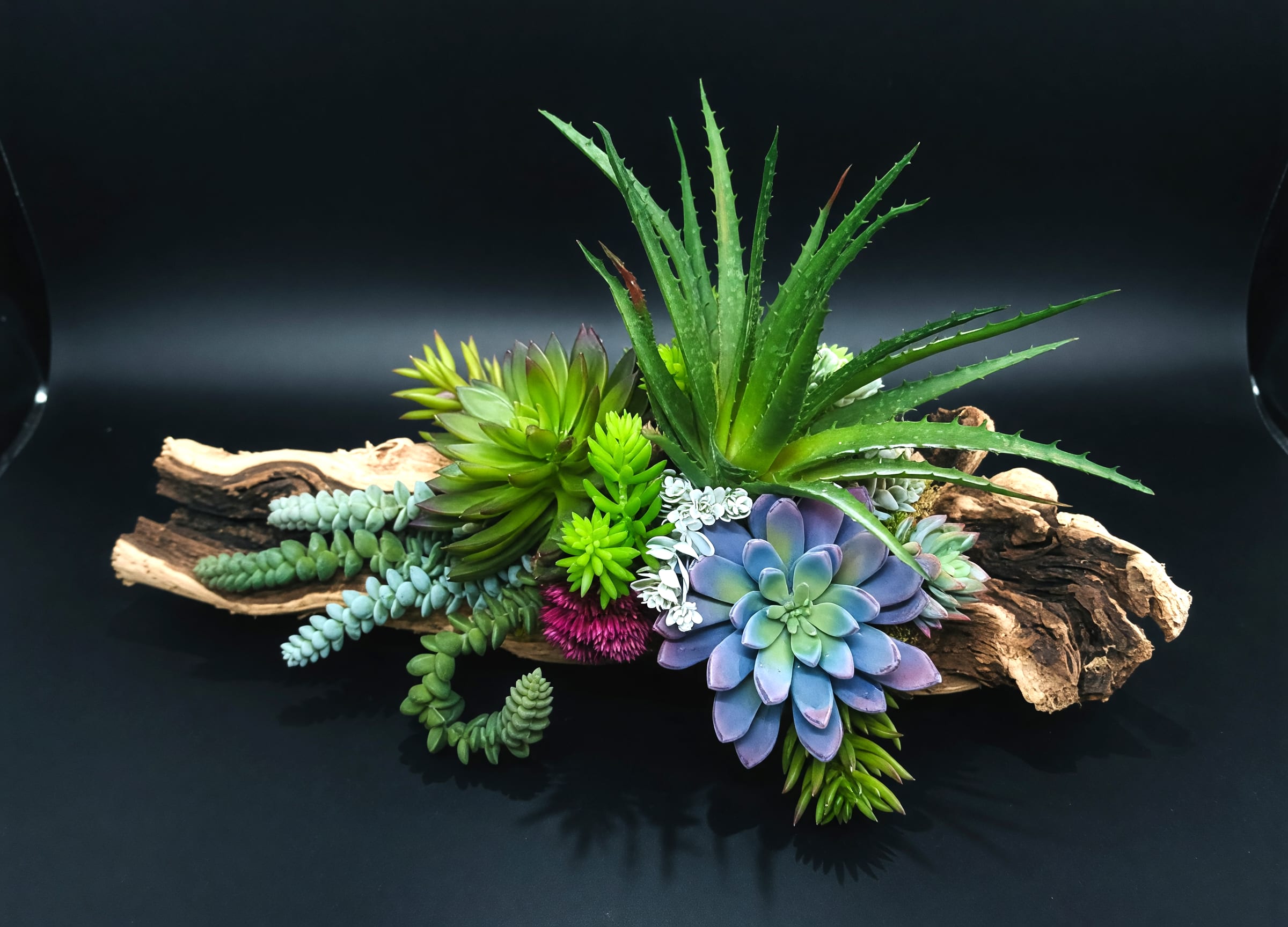 Permanent Succulent Planter - Permanent succulent medley nestled in a grape wood log. Indicate Design 1 or Design 2 in the Special Instructions field when placing your order.