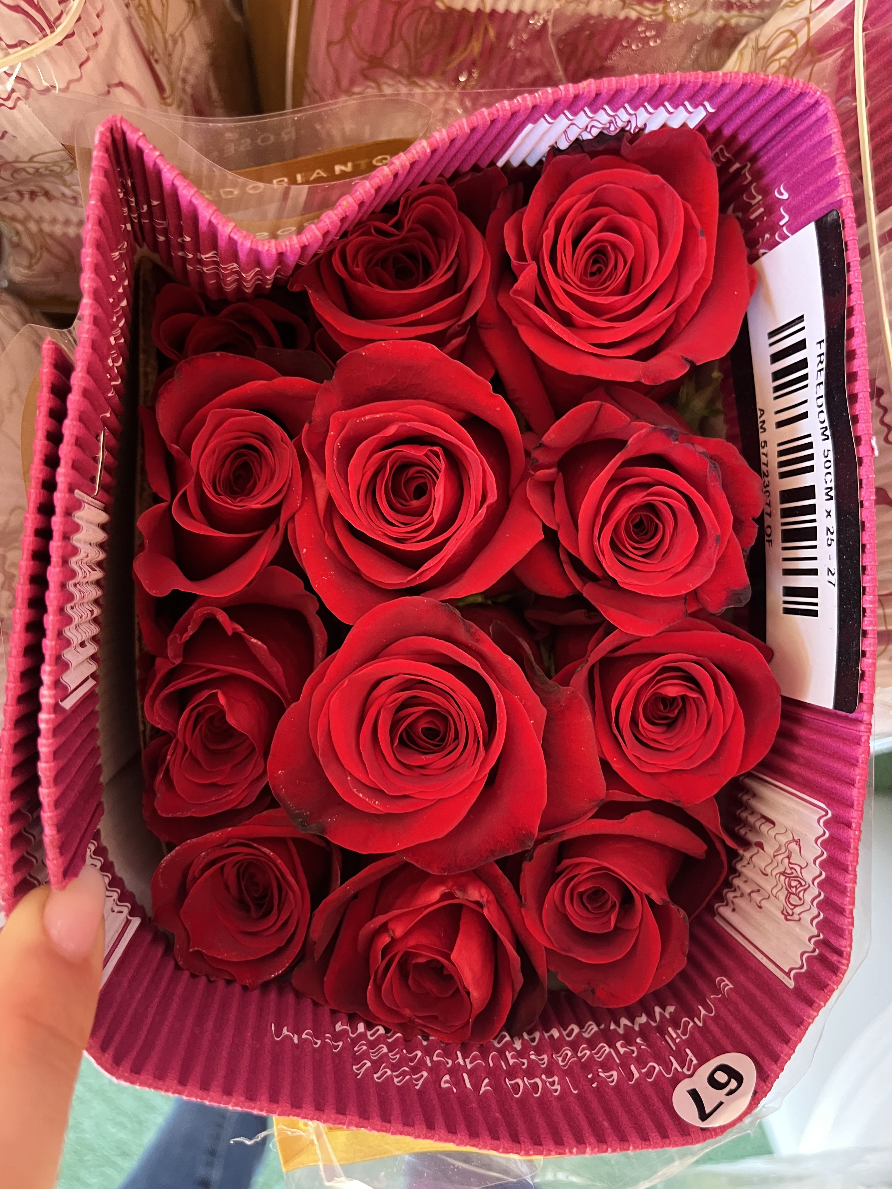 Wholesale roses 25 stem pack - 25 long stemmed roses in the color freedom